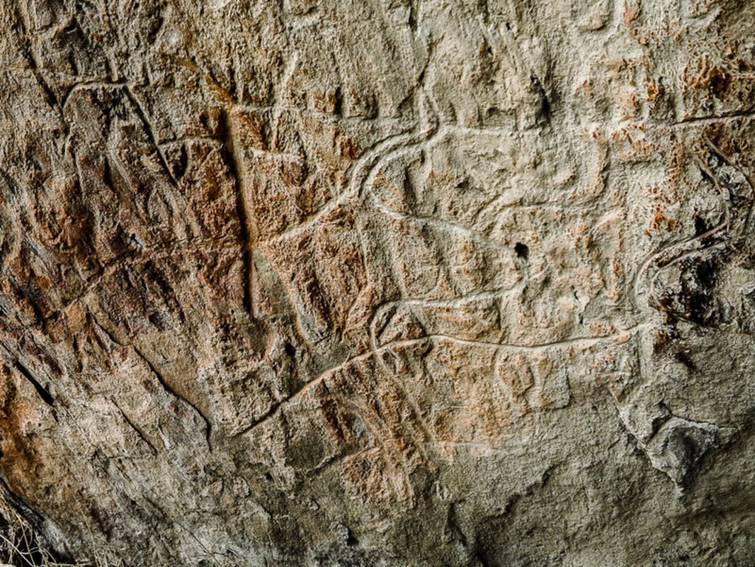 Юг Азербайджана за один день:от пещер Гобустана до субтропиков Ленькорани (60/75)