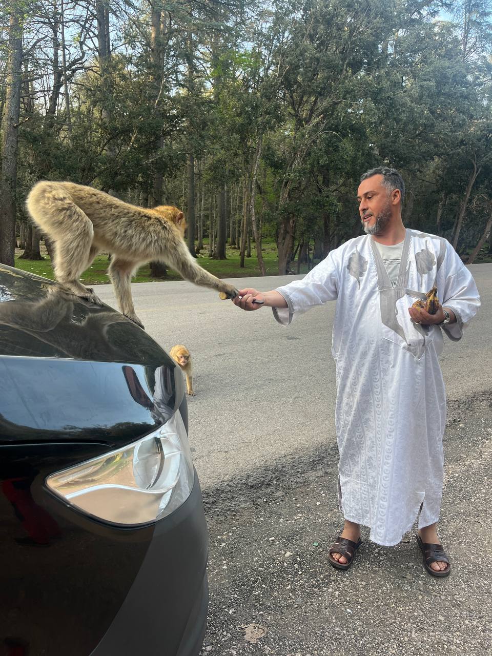 Марокко: от Атлантики до Сахары (31/71)