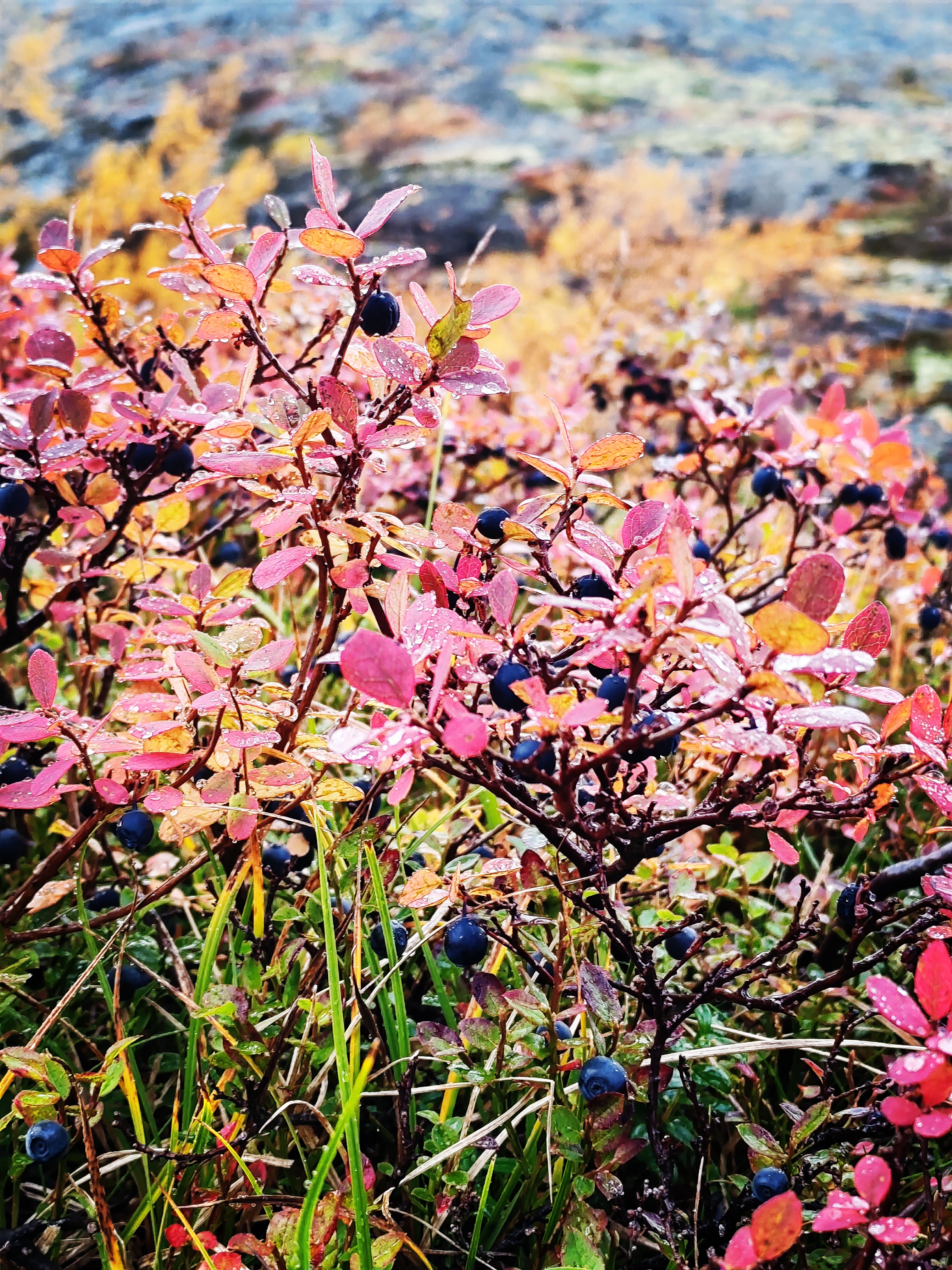 7 дней в Хибинах (6/27)