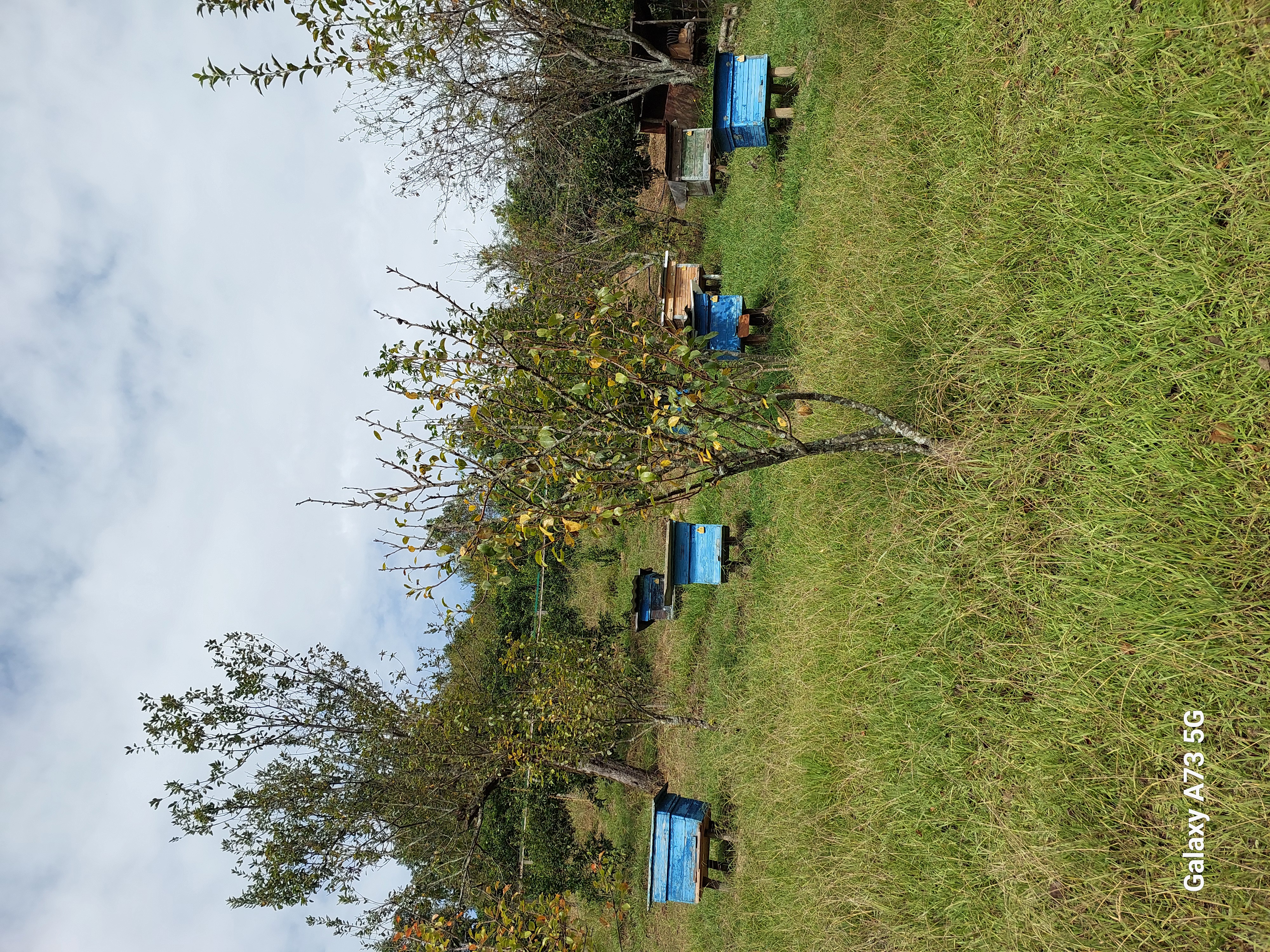 Юг Азербайджана за один день:от пещер Гобустана до субтропиков Ленькорани (8/75)