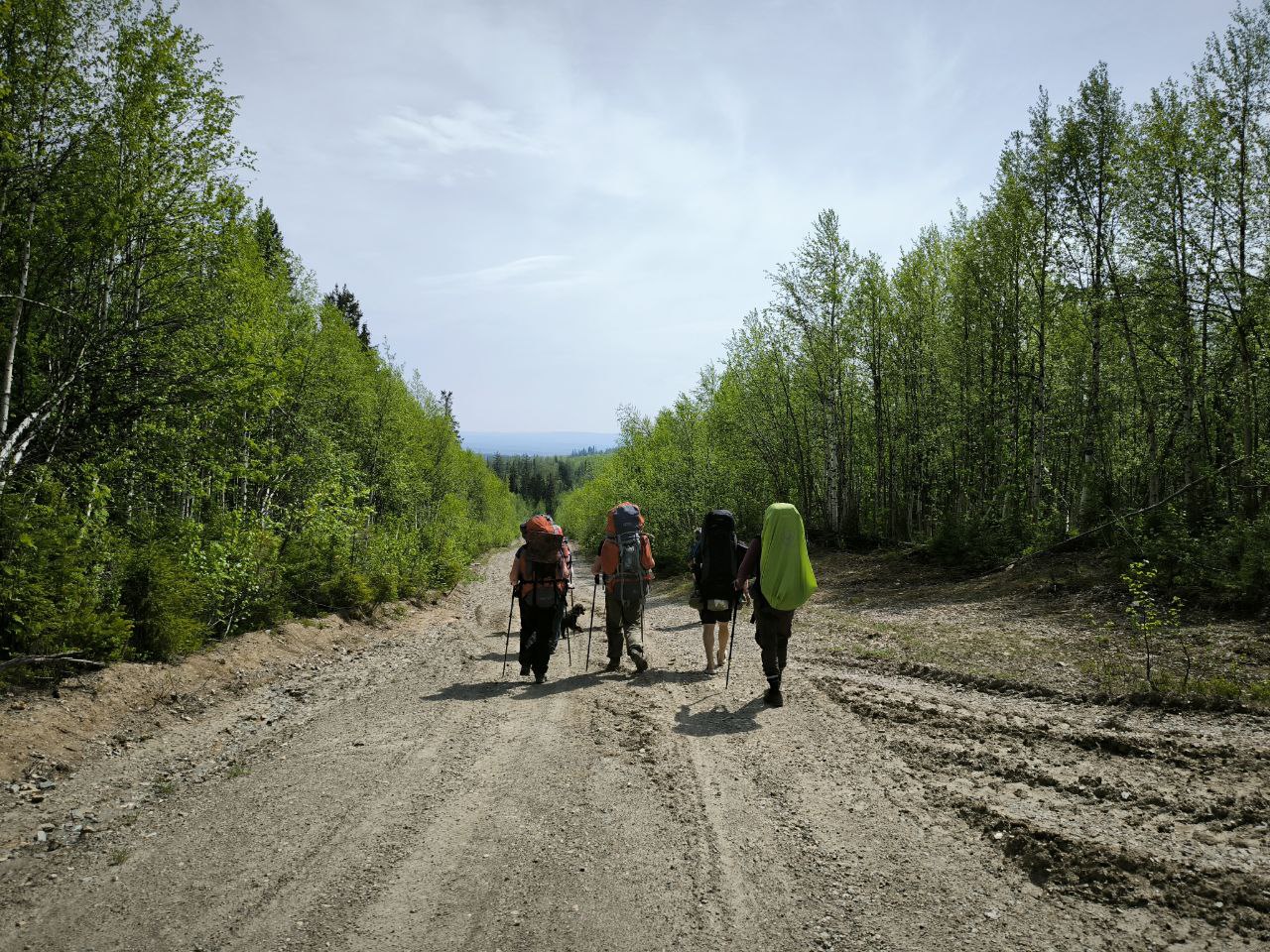 Восхождение на гору Ослянка