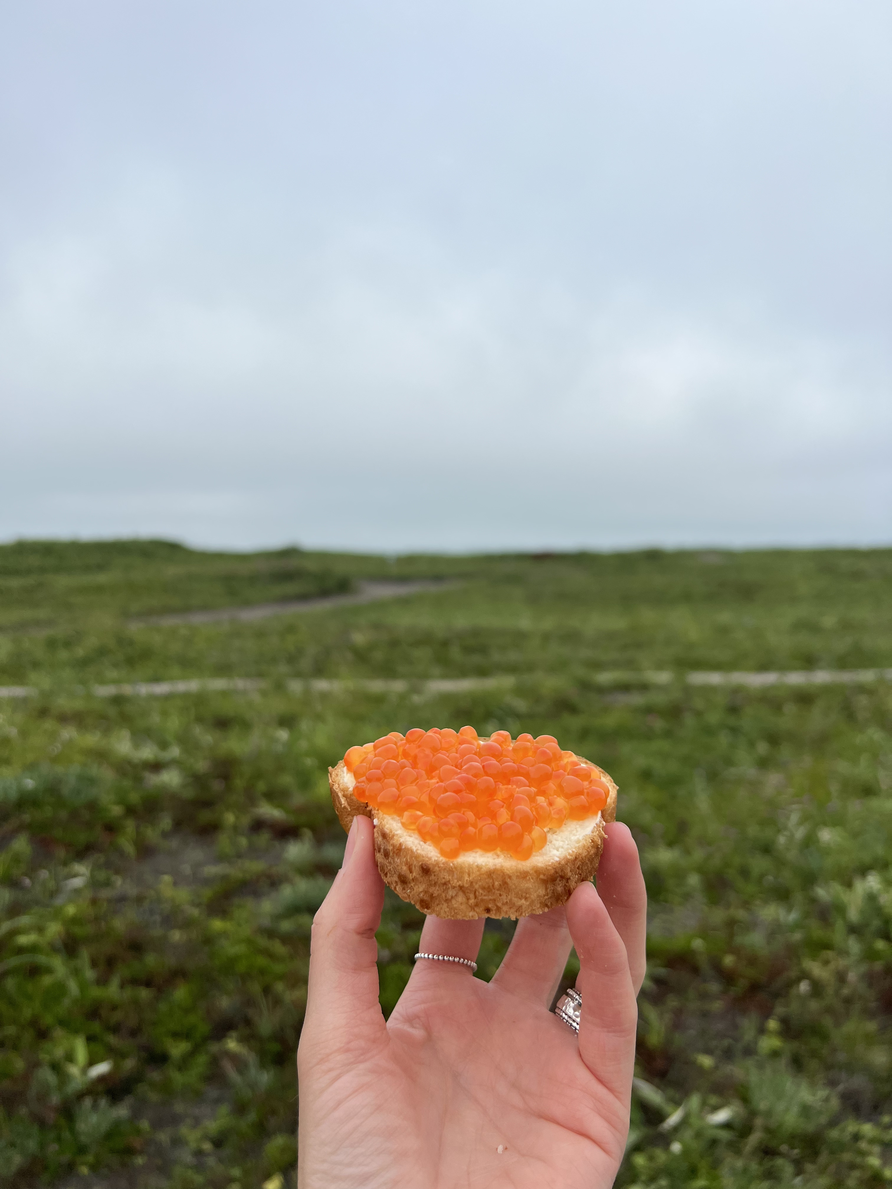 С Камчаткой на ты + спа отель, обеды от шефа (10/49)