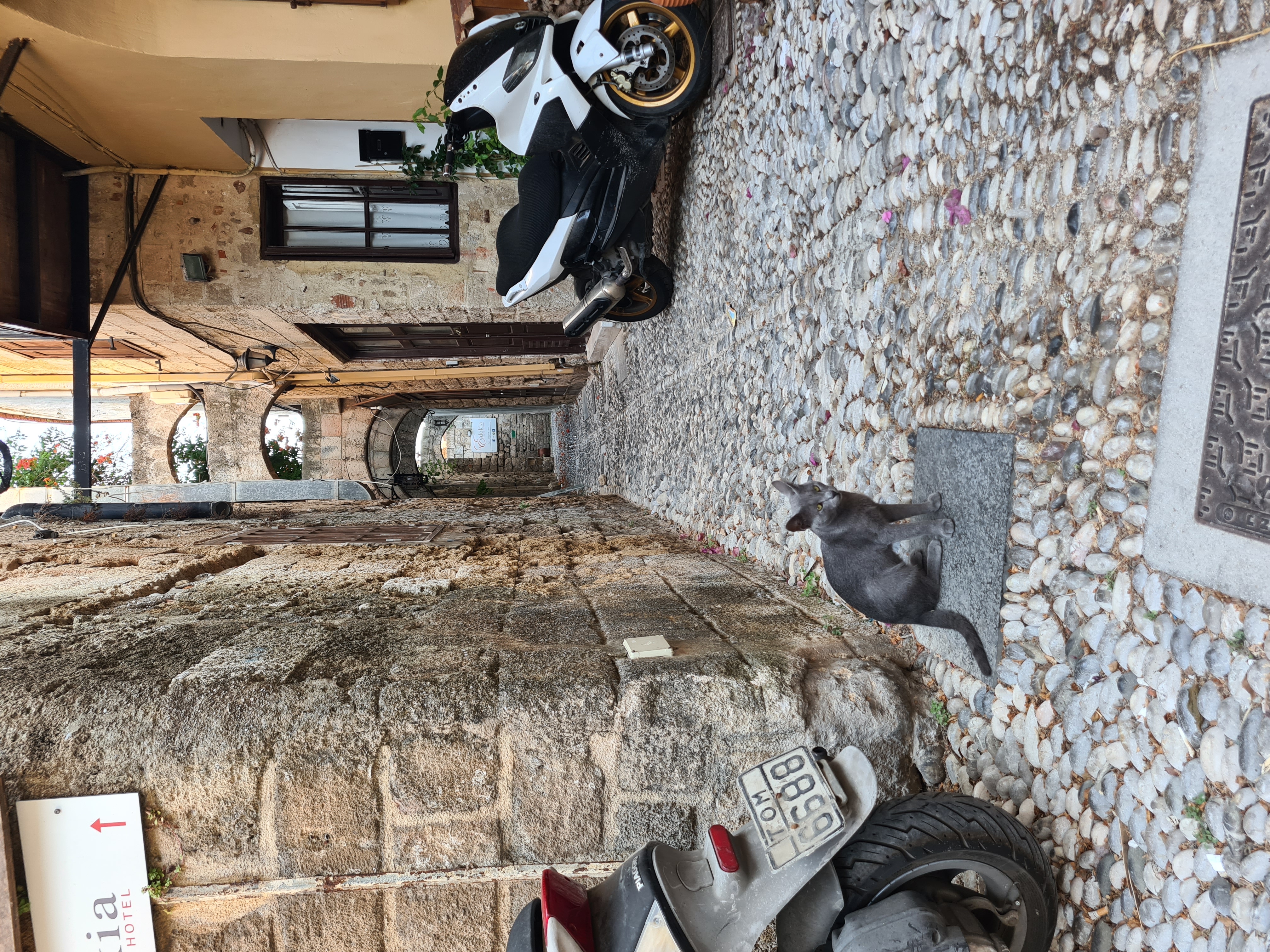 Острова Греции под парусами на катамаране