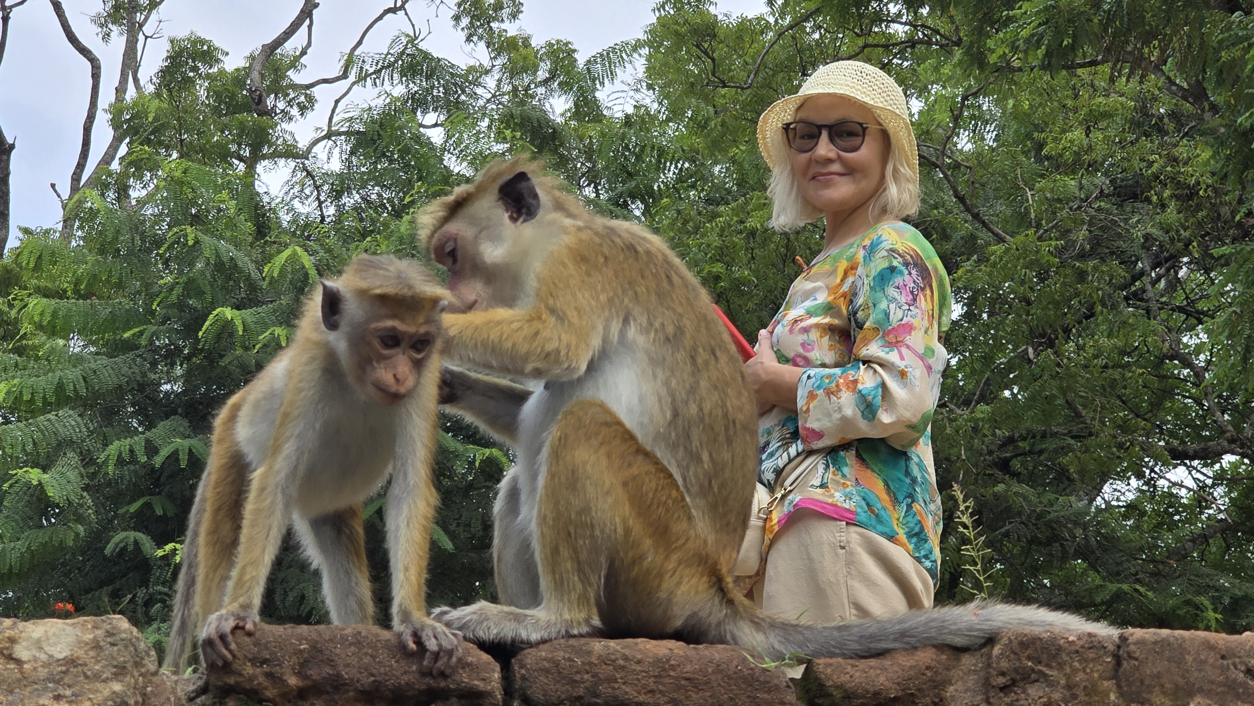 Шри - Ланка: Путешествие к центру земли (3/47)