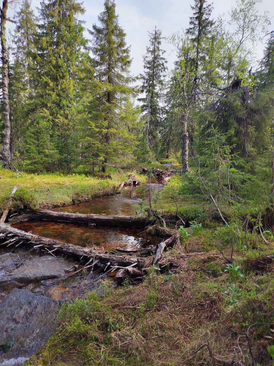Восхождение на гору Ослянка (2/9)