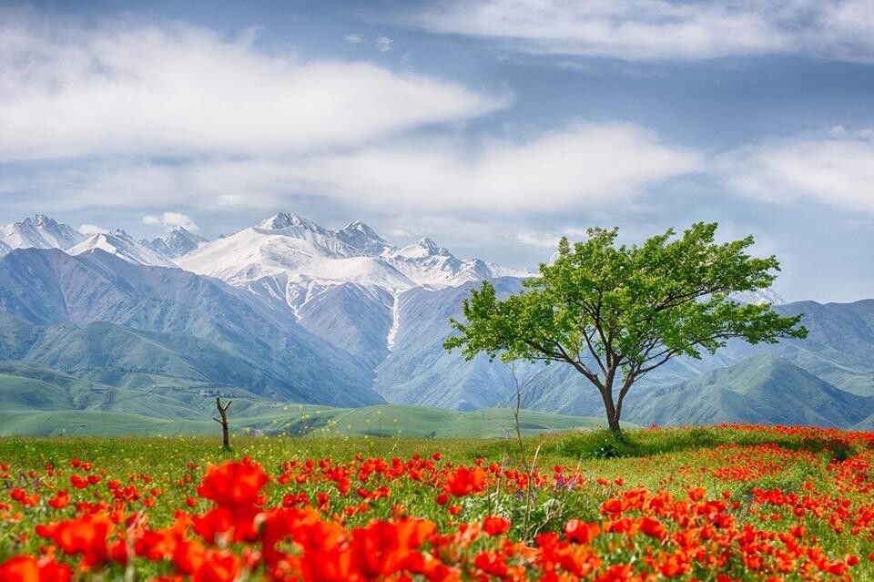 Кыргызстан за 4 дня - программа максимум!