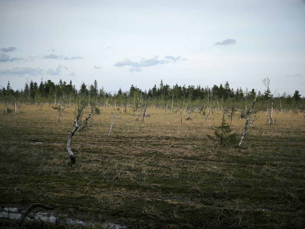 Восхождение на гору Ослянка (9/9)