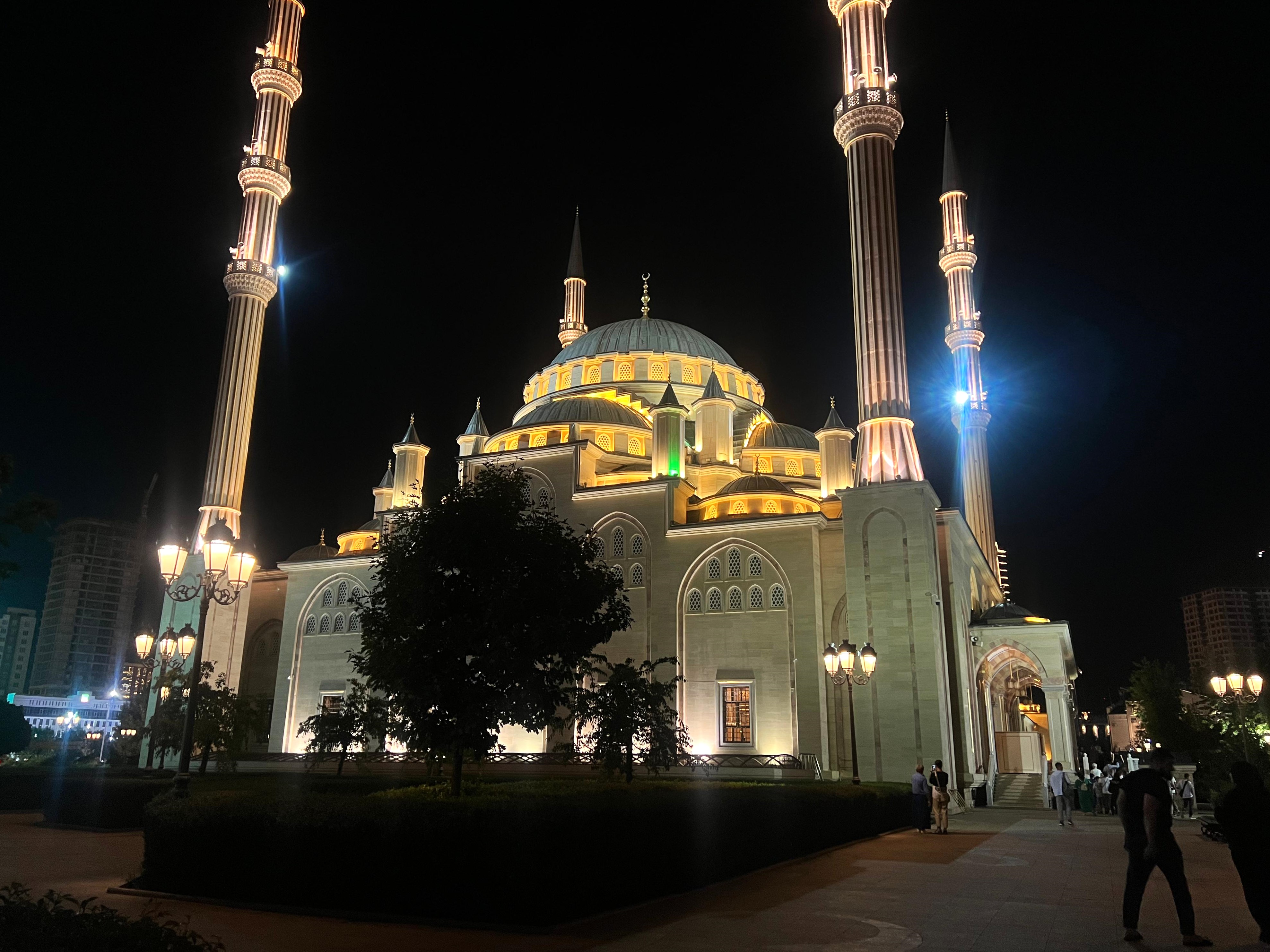 Тур в Дагестан и Чечню из Владикавказа (11/17)