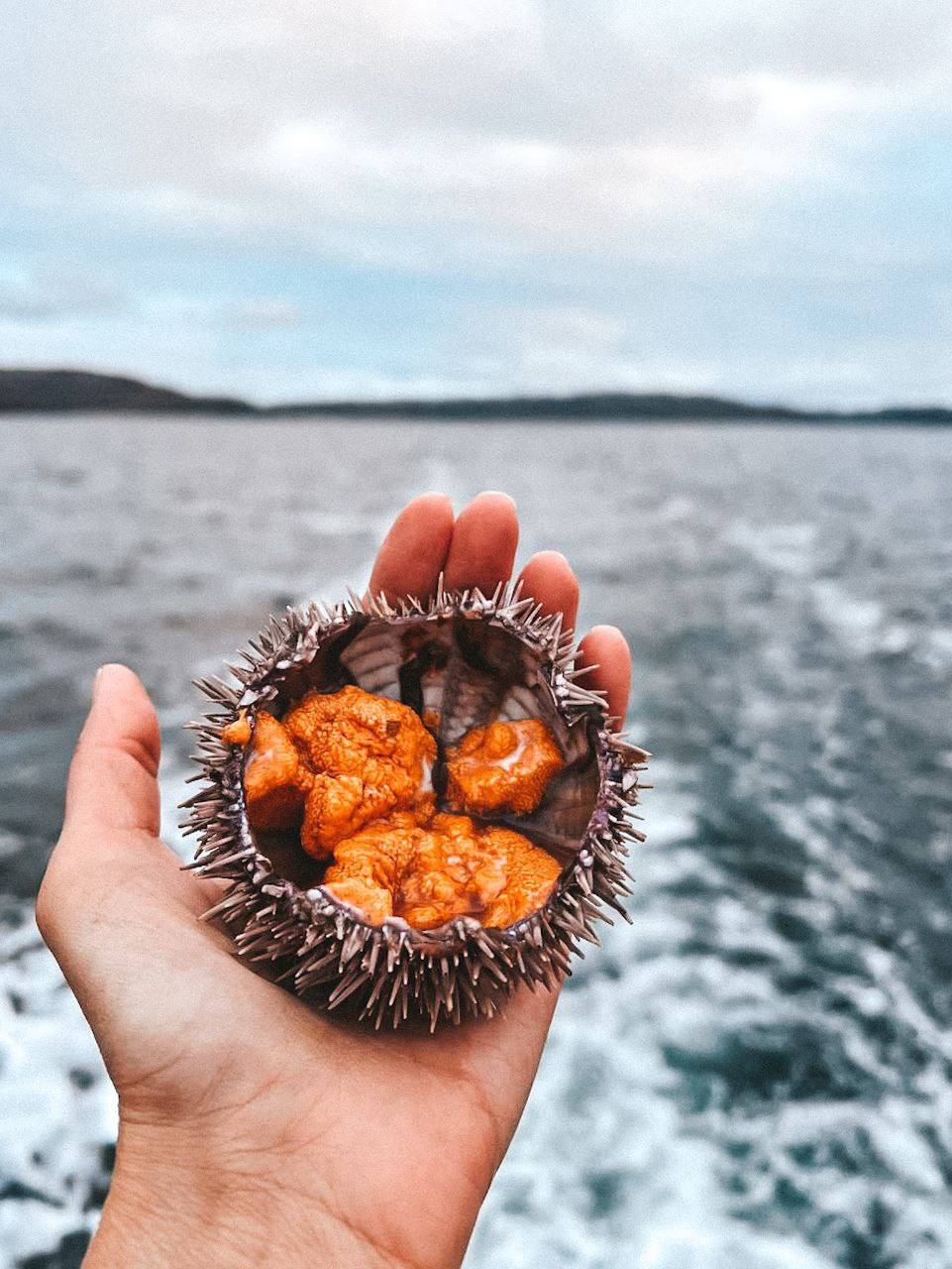 Териберка: край китов и изумрудного неба (23/36)