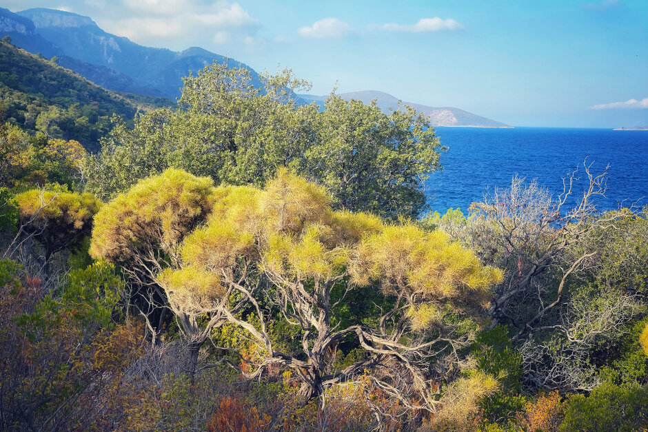 Поход налегке по Карийской тропе в Турции (7/11)