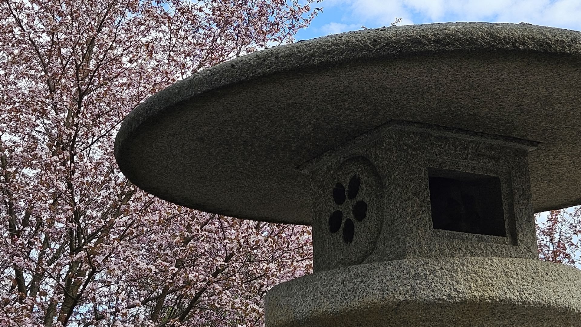 Японская весна в Петербурге