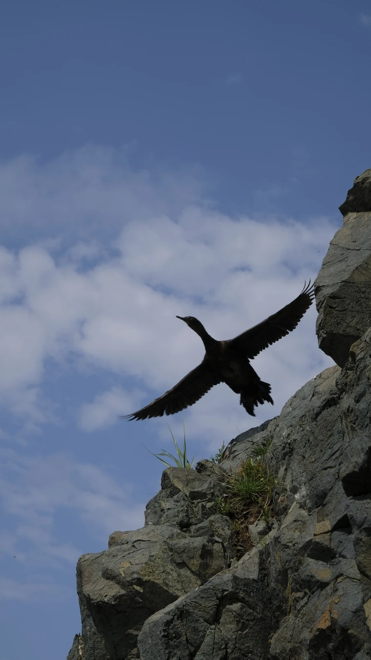 Морская сказка островов Верховского. (5/10)