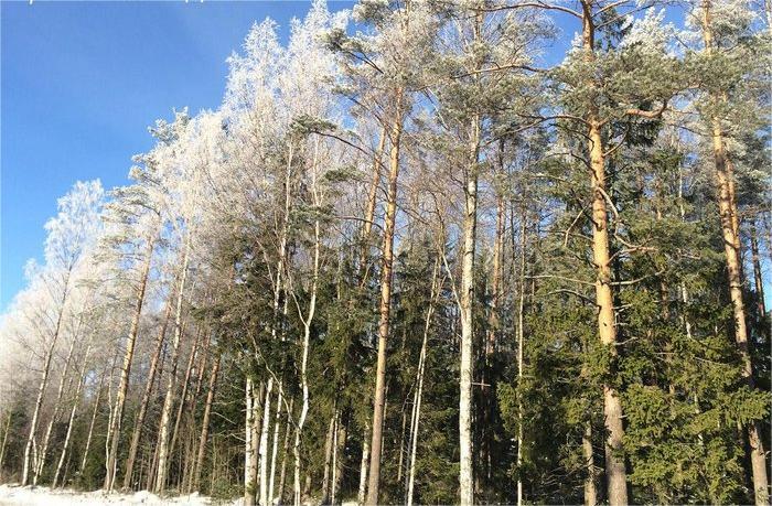 Приморск - Ермиловская бухта - Флотский мыс. Море, которое рядом