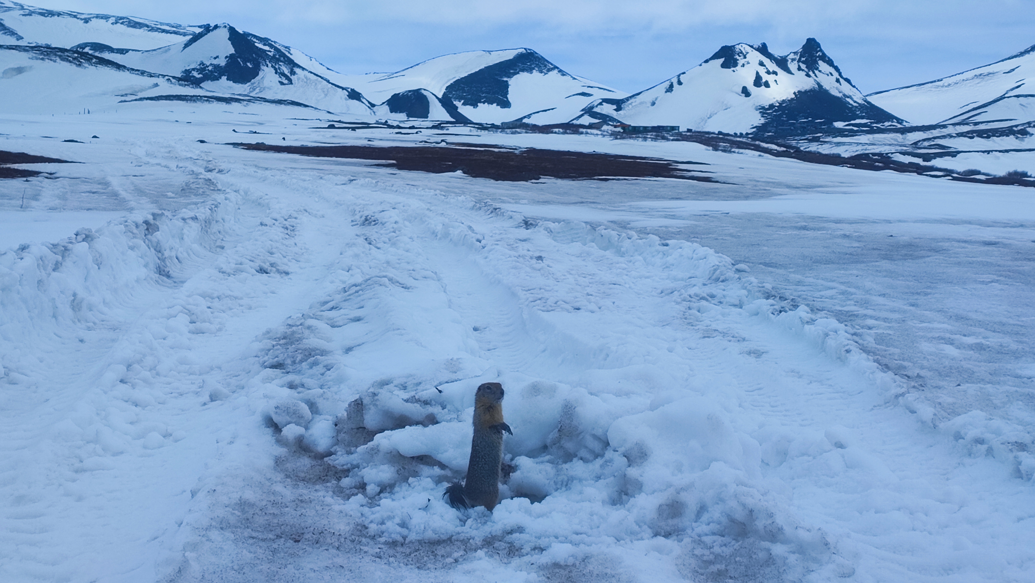 К вулканам на Авачинский перевал и океан -Халактырский пляж за один день (2/9)