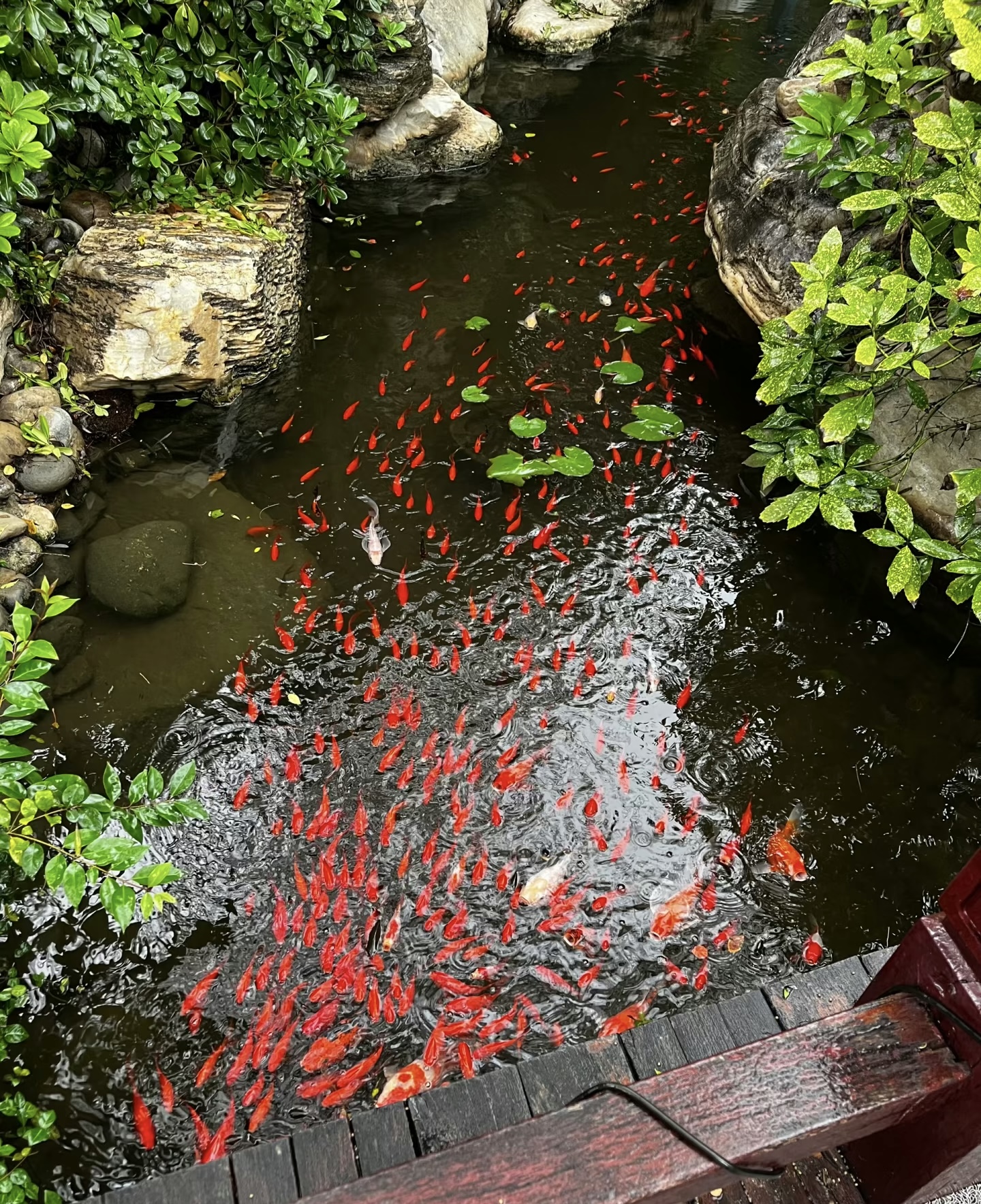 Из Чэнду к статуе большого Будды (8/10)