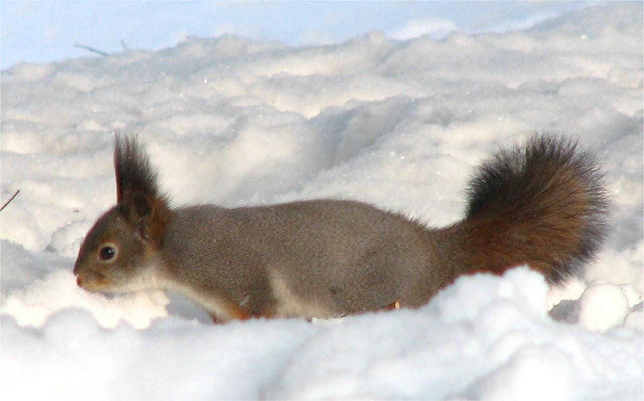 Приморск - Ермиловская бухта - Флотский мыс. Море, которое рядом