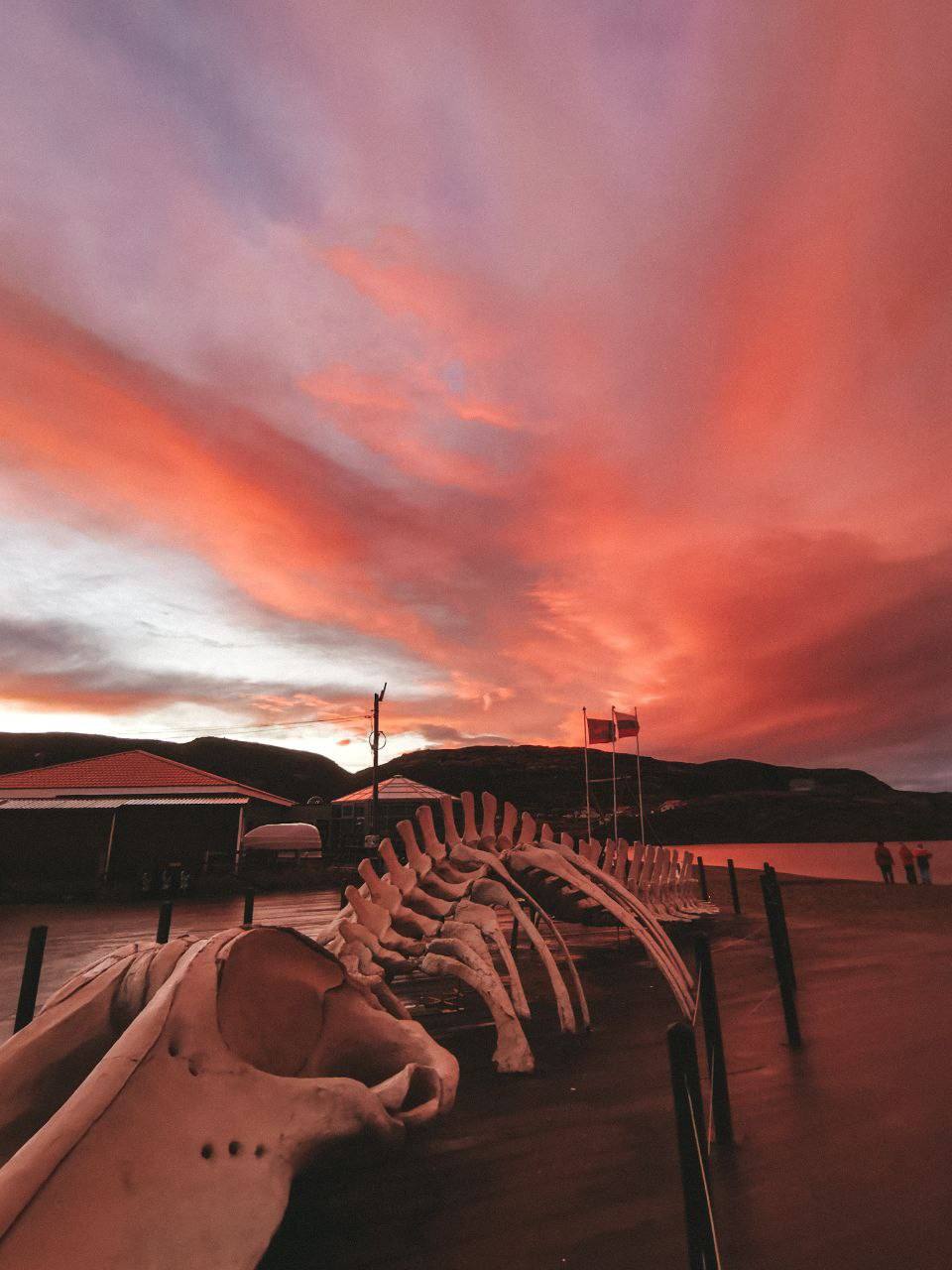 Териберка: край китов и изумрудного неба (25/36)