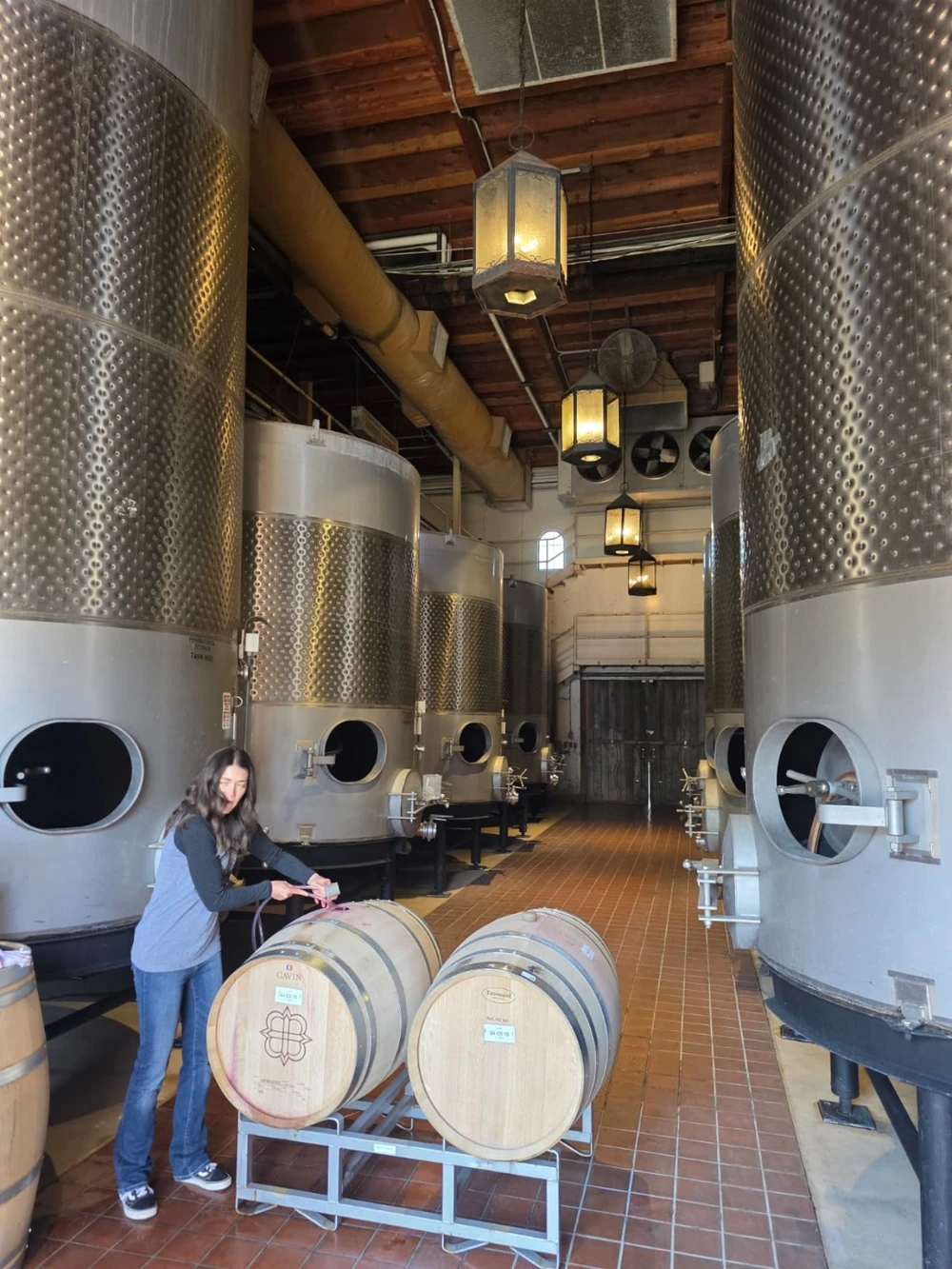 Из Сан-Франциско — в винный вояж по долинам Сонома и Напа (11/12)