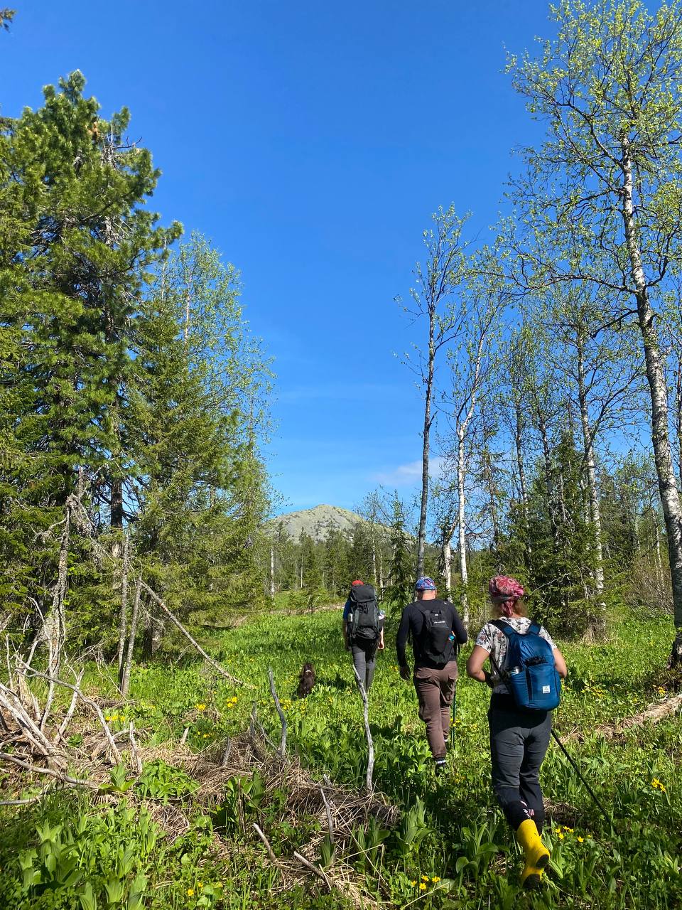 Восхождение на гору Ослянка (8/9)