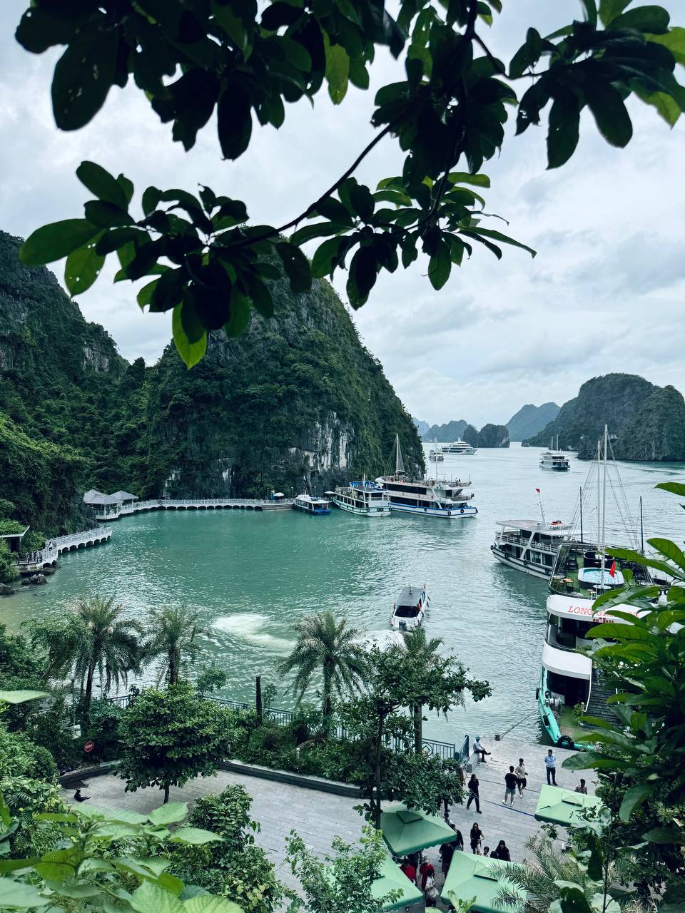 Вьетнам: с севера на юг (1/26)