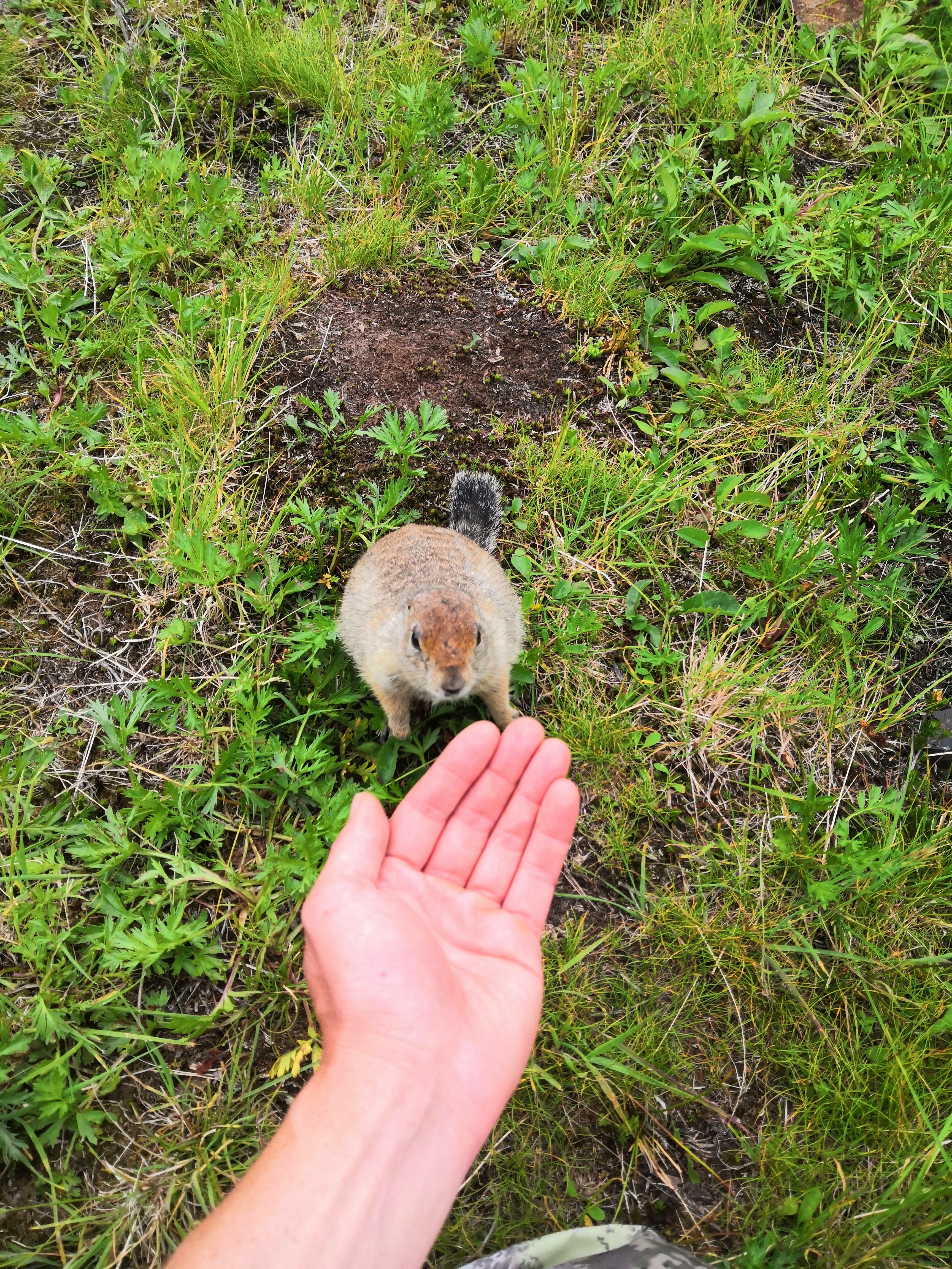 К вулканам на Авачинский перевал и океан -Халактырский пляж за один день (4/9)