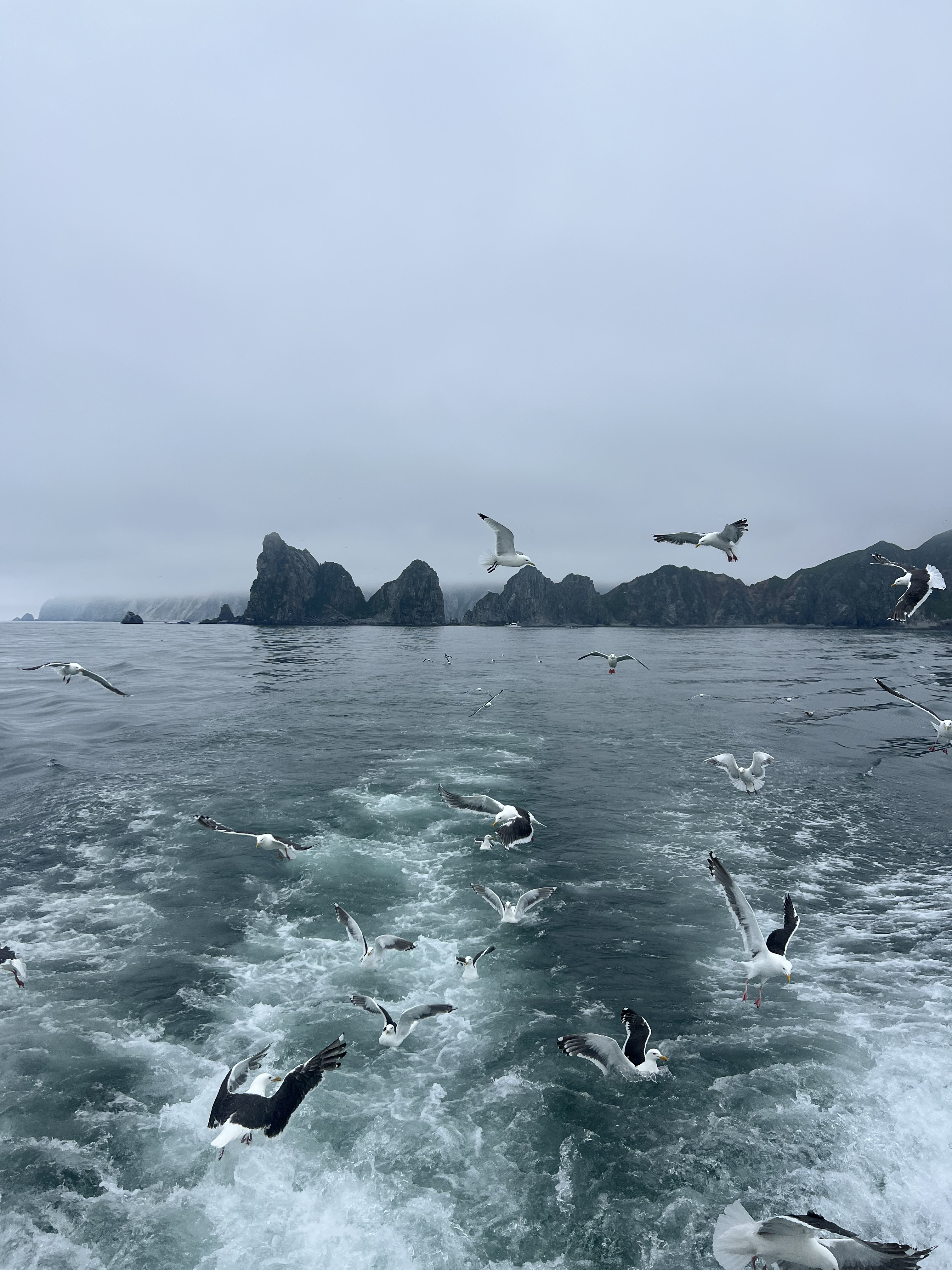 С Камчаткой на ты + спа отель, обеды от шефа (23/49)