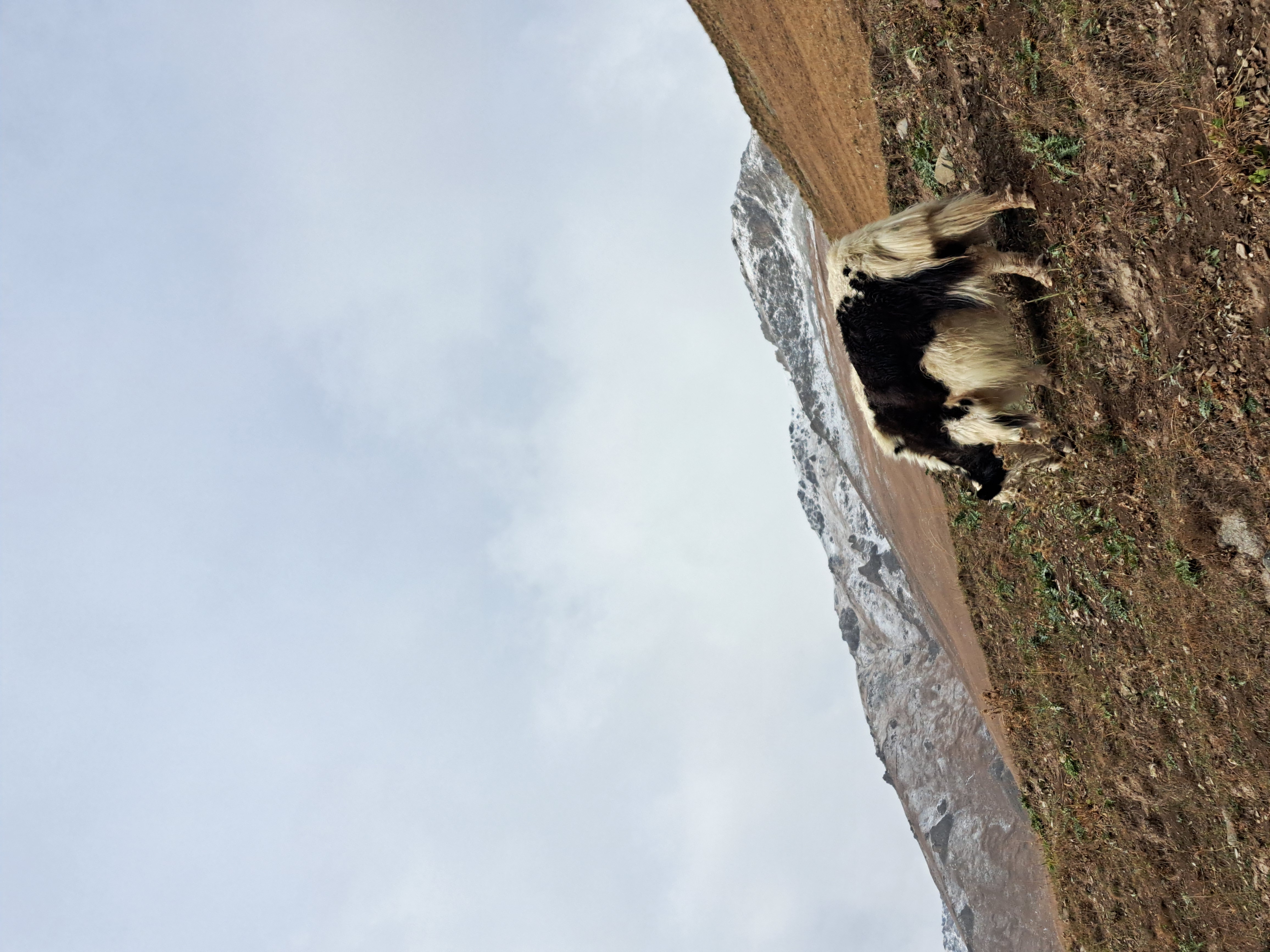 Кыргызстан: Сон-Куль, Кель-Суу и Иссык-Куль (21/36)