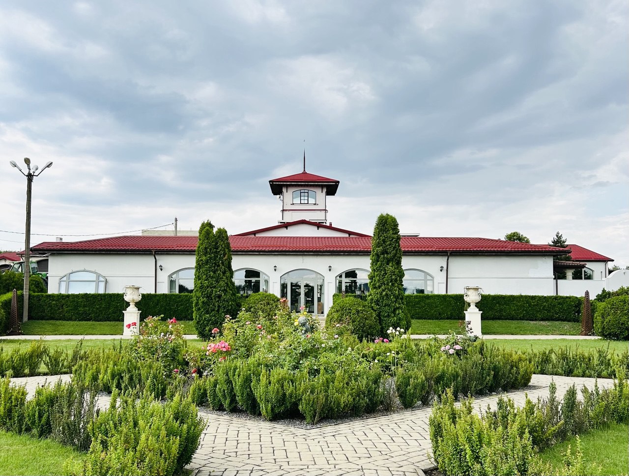 Гастрономический тур Вино&Море: Лавандовый бриз (14/24)