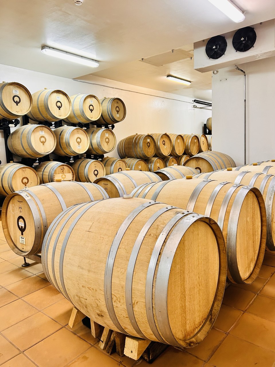 Гастрономический тур Вино&Море: Лавандовый бриз (13/24)