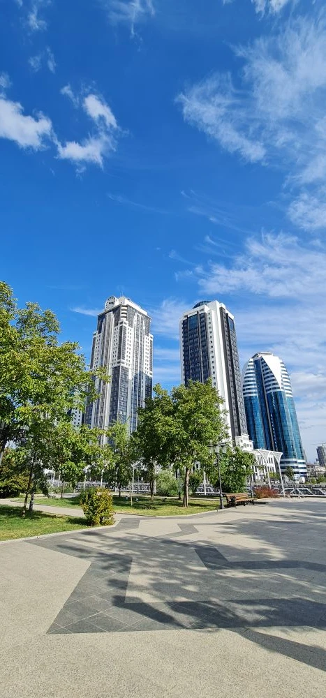 Однодневный тур в Грозный (11/21)