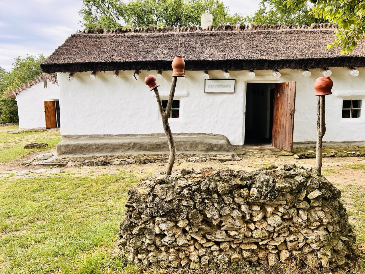 Гастрономический тур Вино&Море: Лавандовый бриз (17/24)