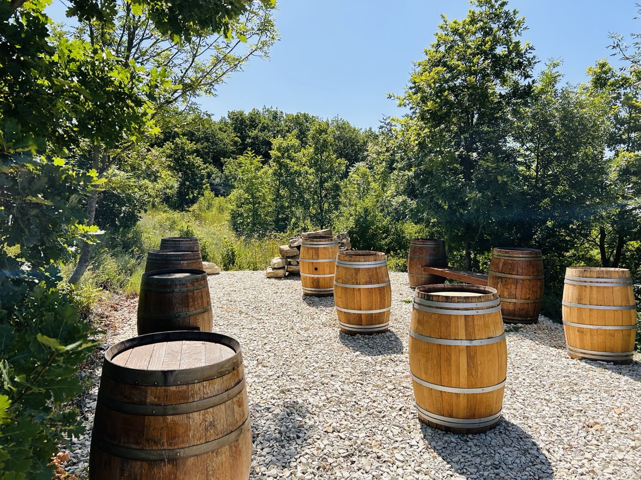 Гастрономический тур Вино&Море: Лавандовый бриз (3/24)