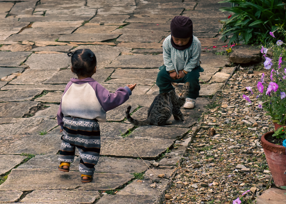 Доступный Тибет: монастыри и Эверест (12/20)