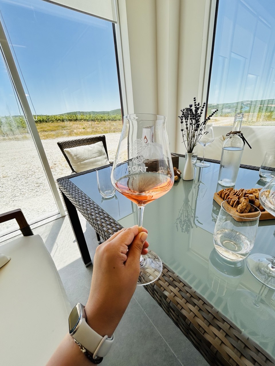 Гастрономический тур Вино&Море: Лавандовый бриз (22/24)