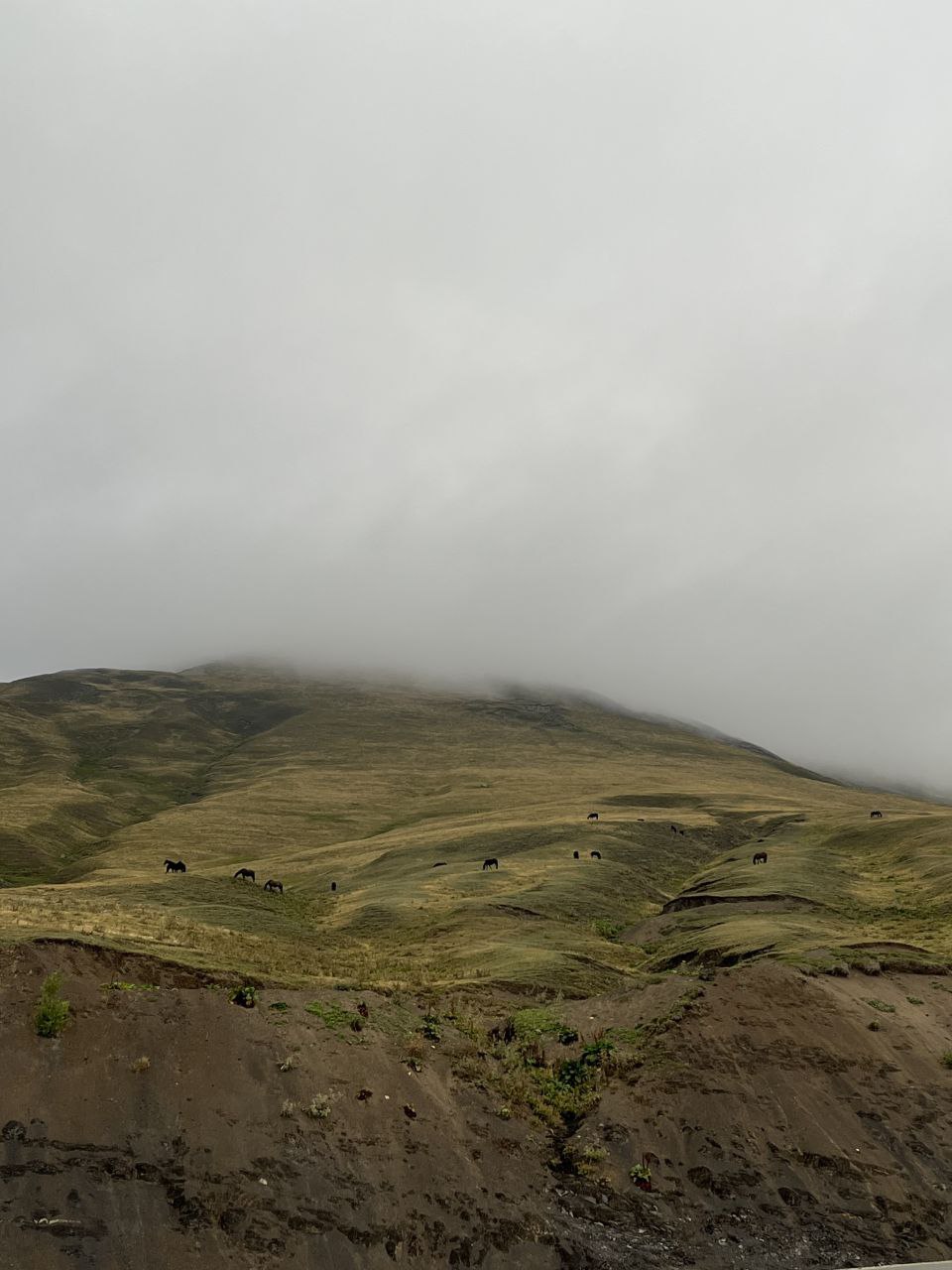 Домбай, Эльбрус, Джилы-Су - классный микс за 4 дня! (18/52)