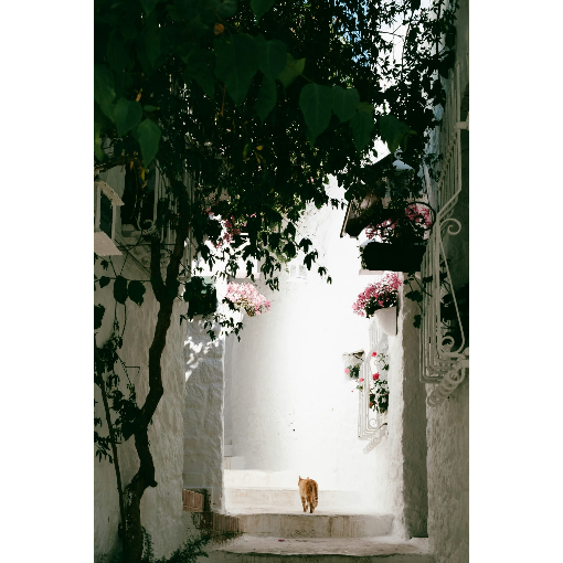 Из Турции по Средиземному, Эгейскому морю на катамаране (10/17)