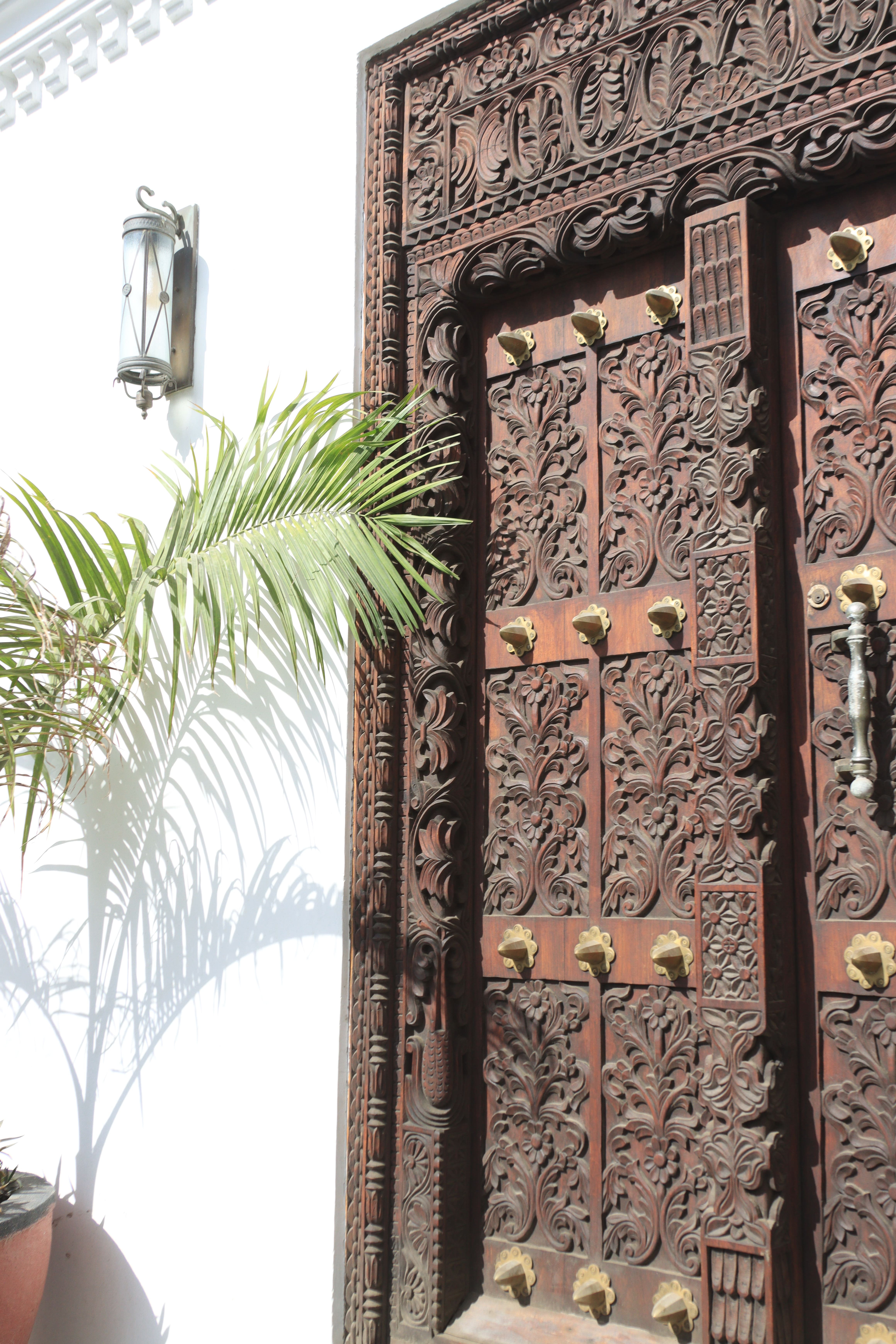 Занзибар : катамаран, океан, открытия без границ! (2/26)