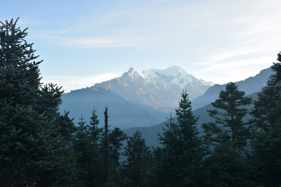 Доступный Тибет: монастыри и Эверест (14/20)