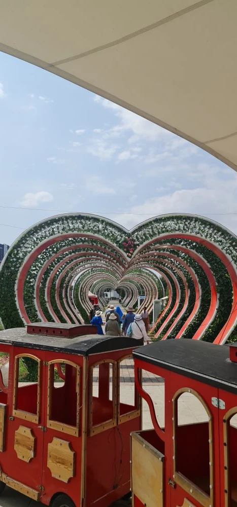 Однодневный тур в Грозный (21/21)