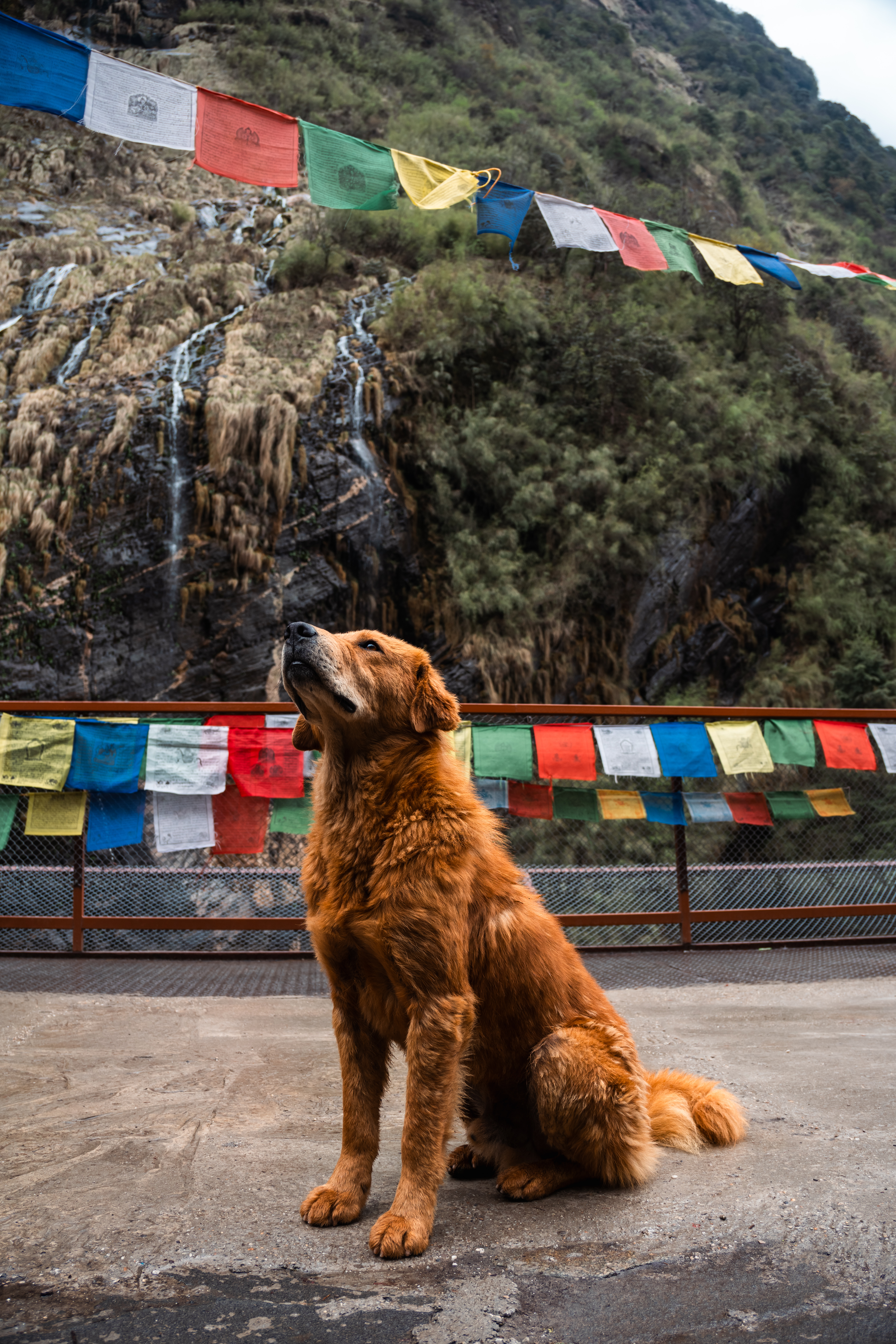 Доступный Тибет: монастыри и Эверест (7/20)