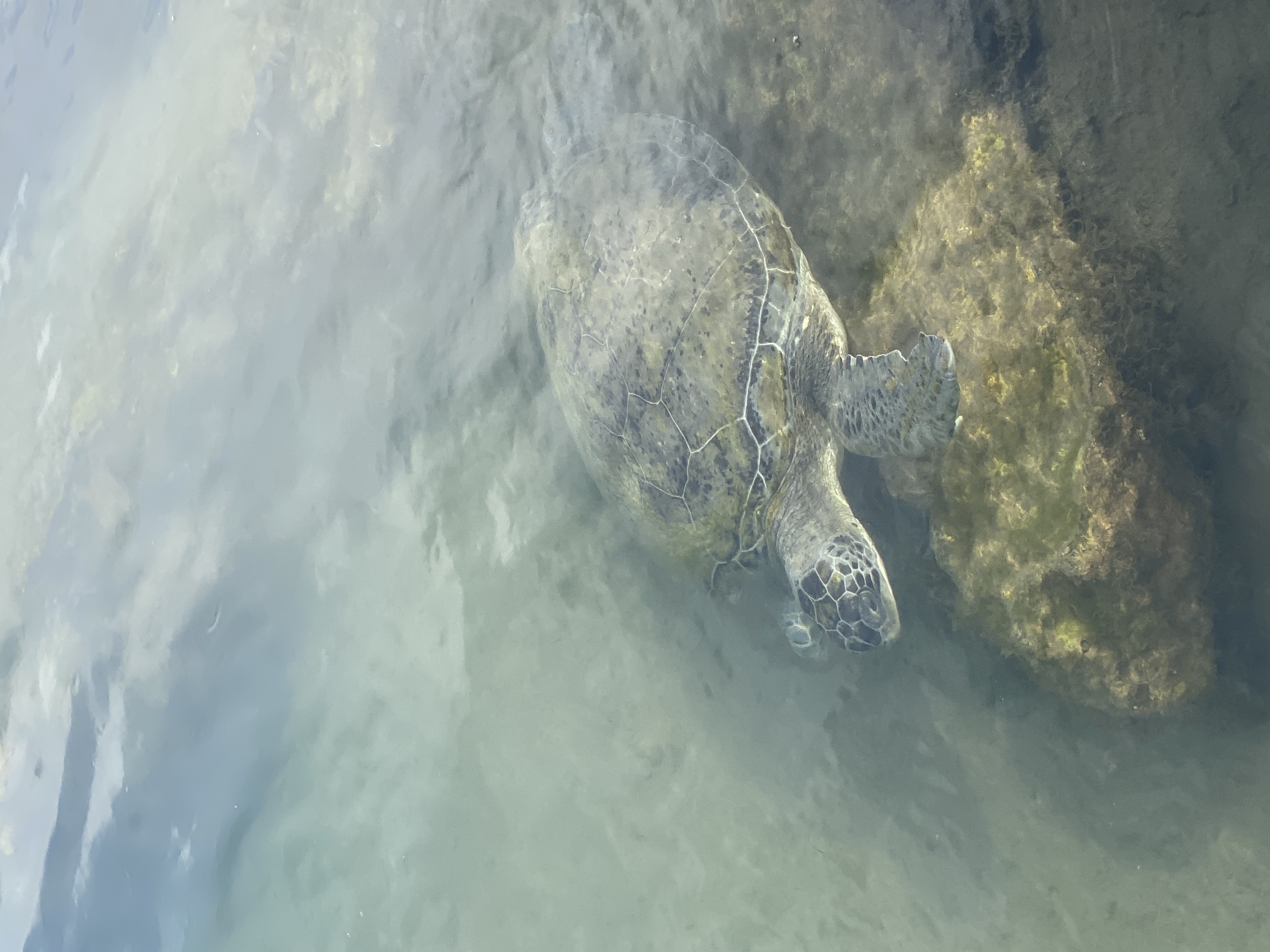 Ликийская тропа. Микс восточной и центральной частей (16/27)