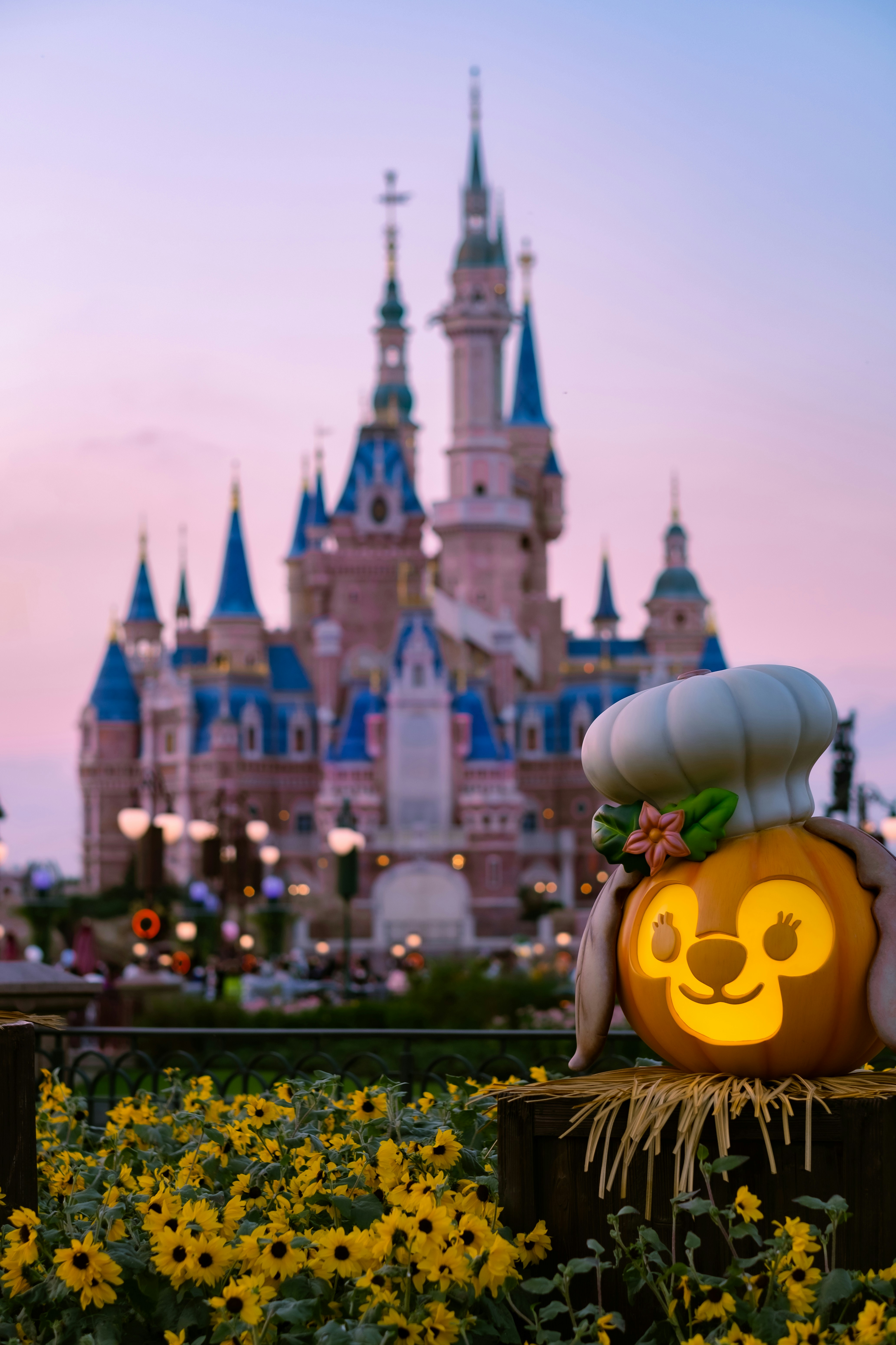 Футуристический Шанхай и праздник фонарей (8/13)