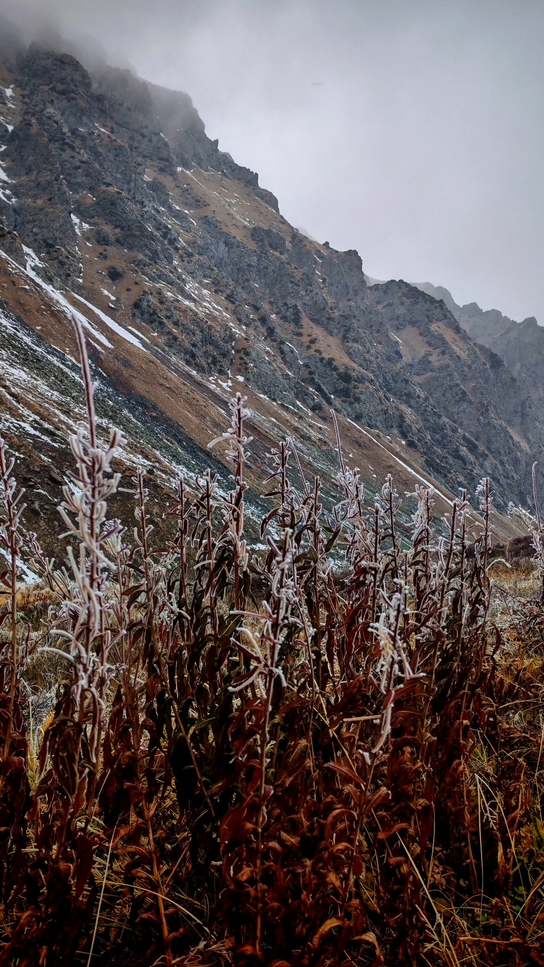 Озеро Маншук на высоте 3600 м н.у.м. (5/18)