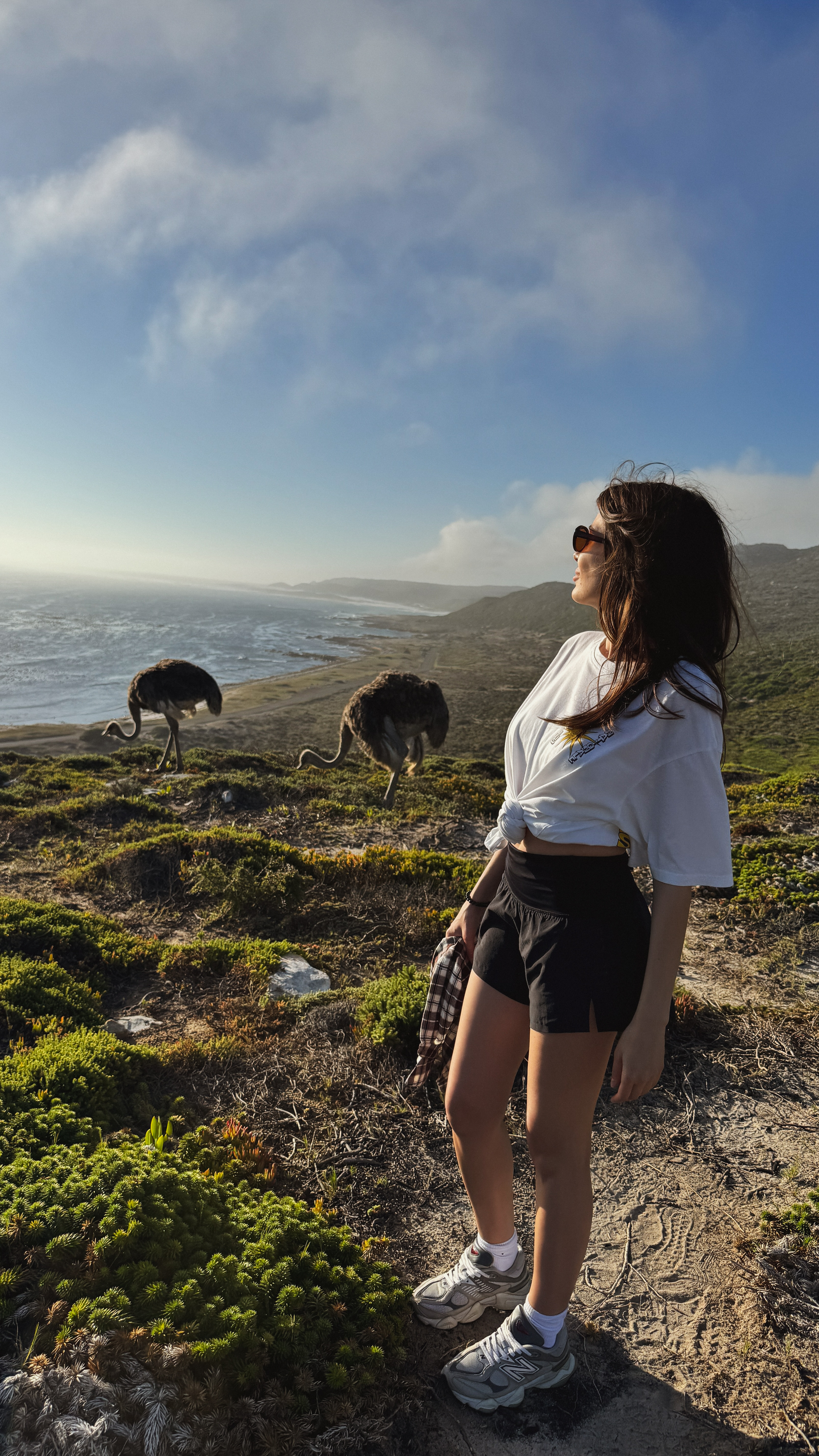 Юар - знакомство с Африкой, которое запомнится навсегда (8/59)