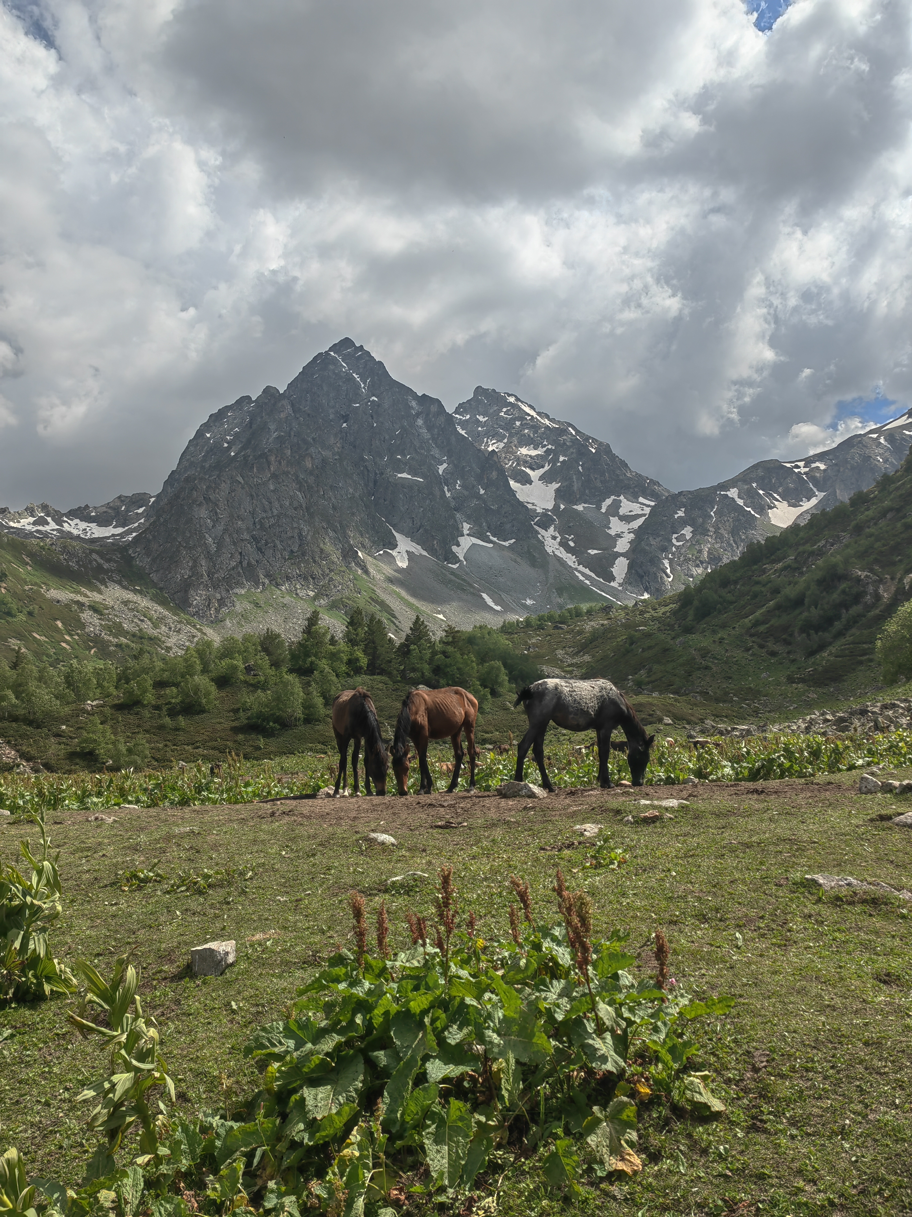 Озёра балки Орлёнок