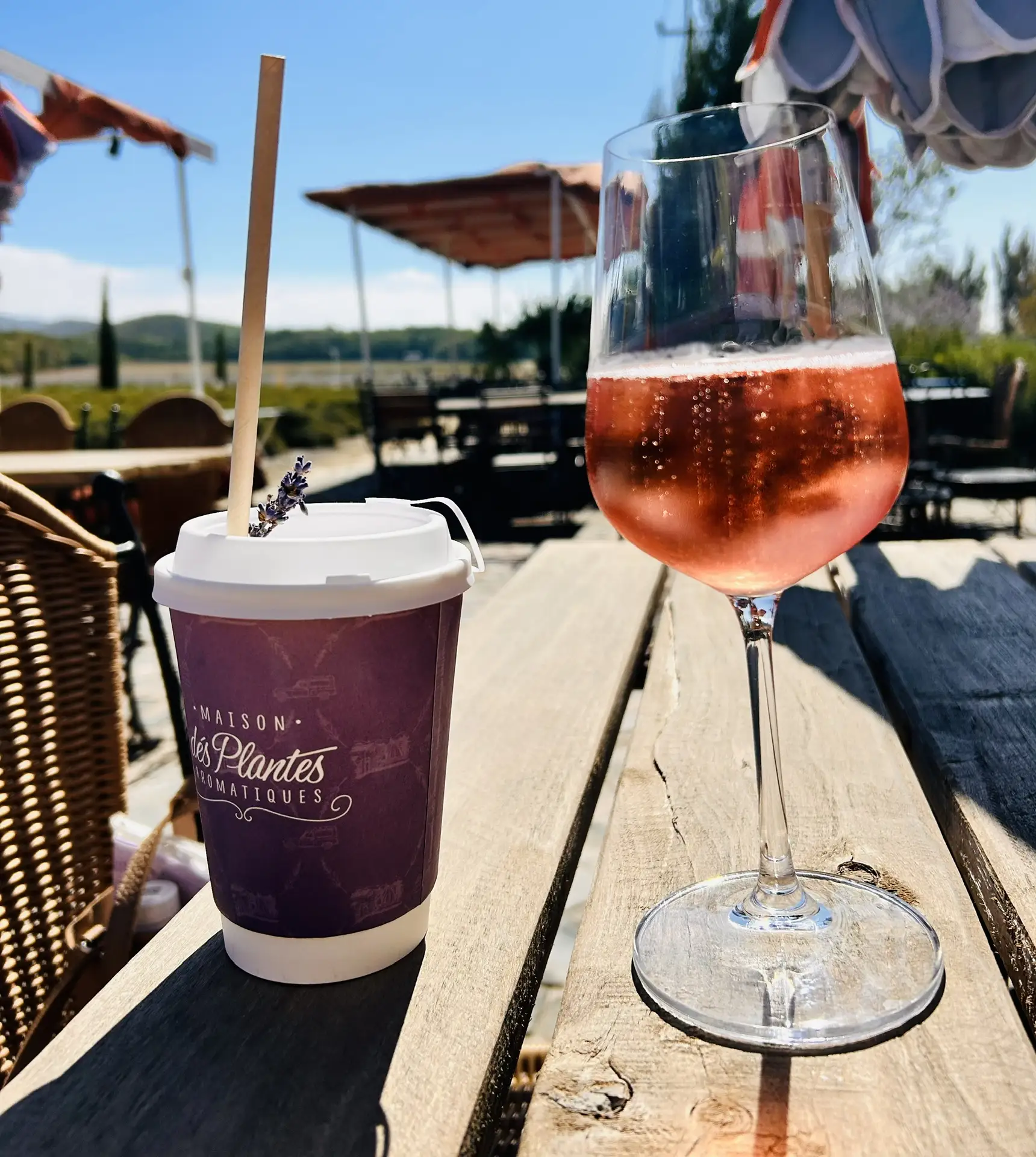 Гастрономический тур Вино&Море: Лавандовый бриз (19/24)