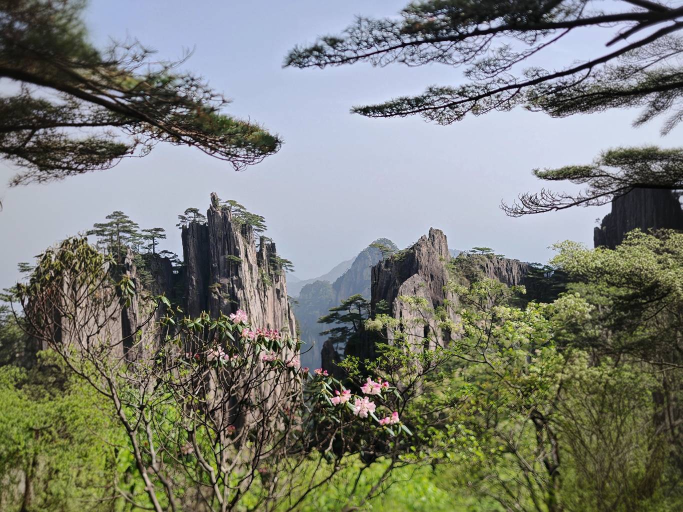 Красоты Восточного Китая: Шанхай, Чжуцзяцзяо, озеро Циншань, рассвет в горах Хуаншань (42/56)