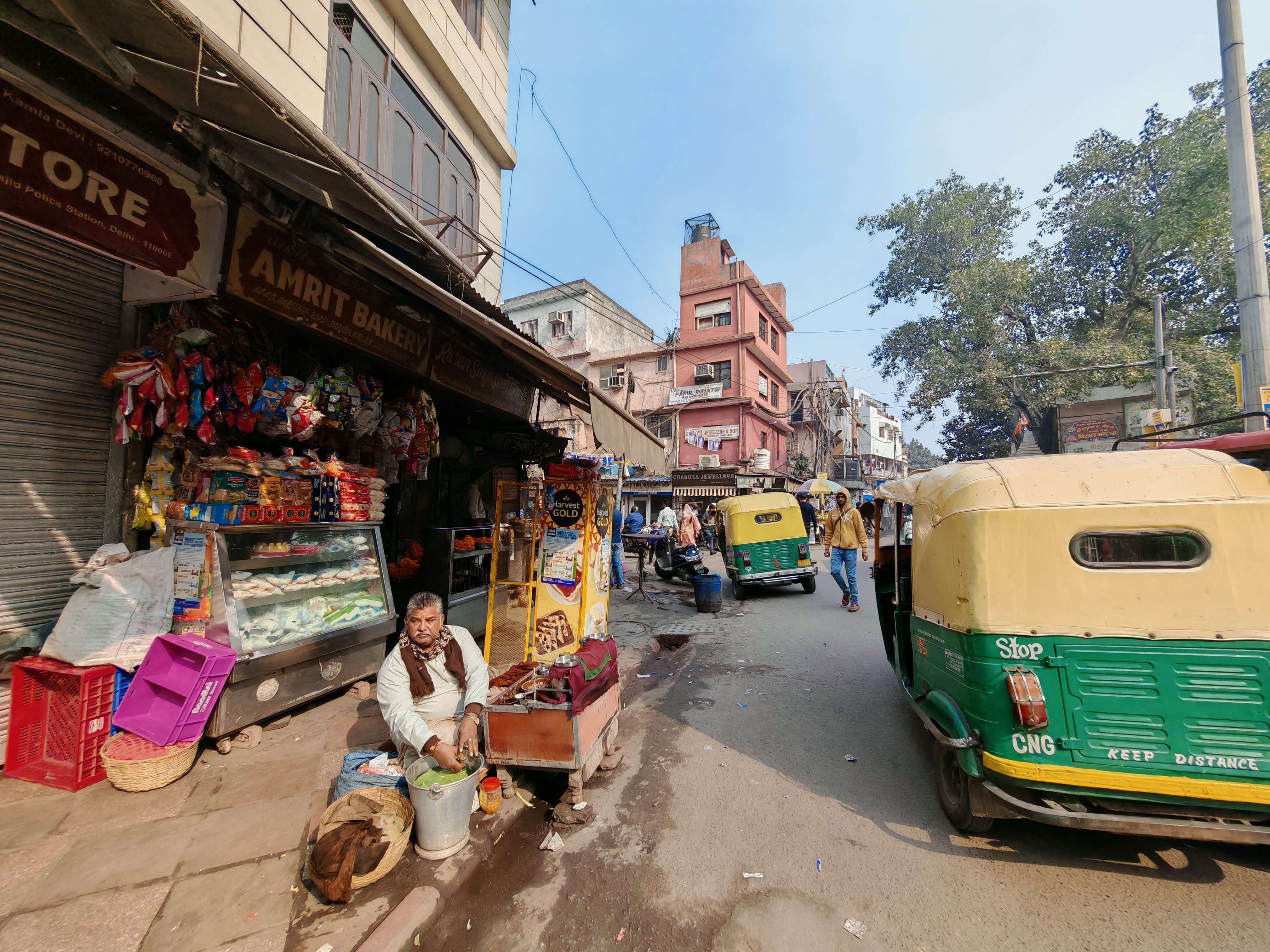 Великие Моголы, раджпуты и тантристы: индивидуальное путешествие в самое сердце Индии (4/30)
