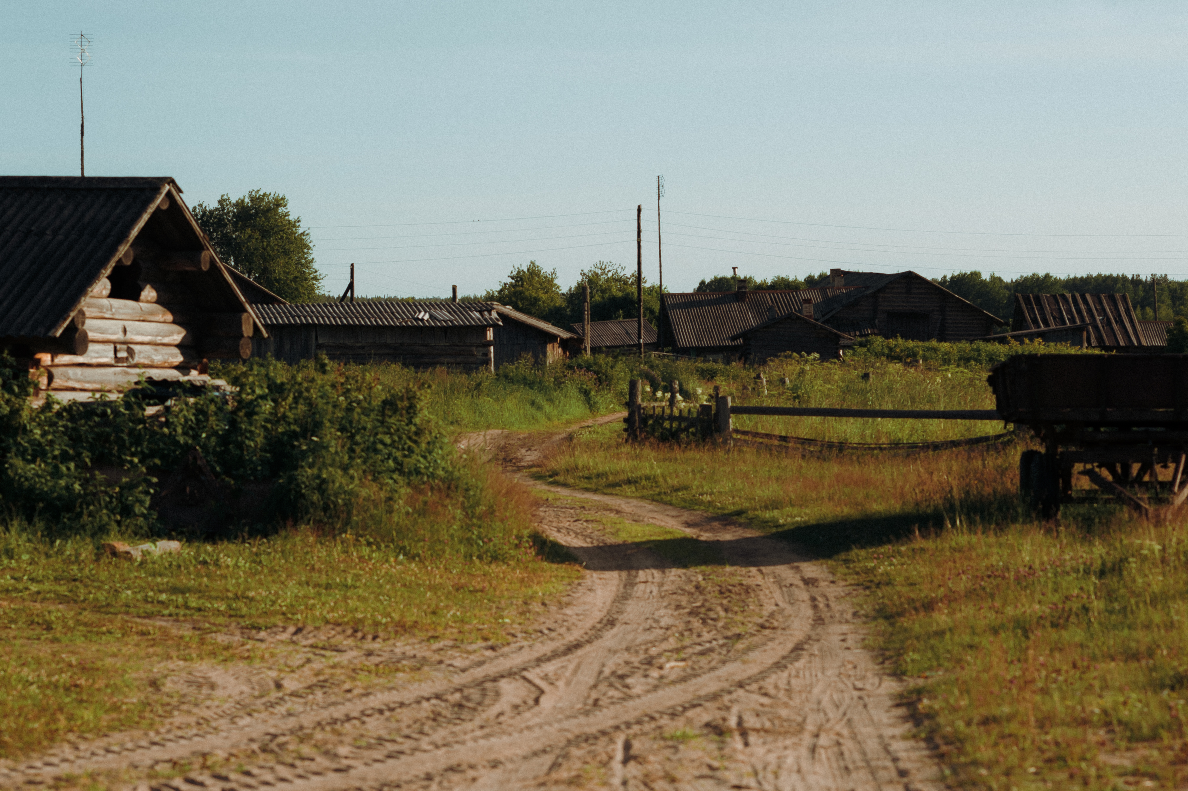 Пинега. В начале было слово. 1 этап (18/24)