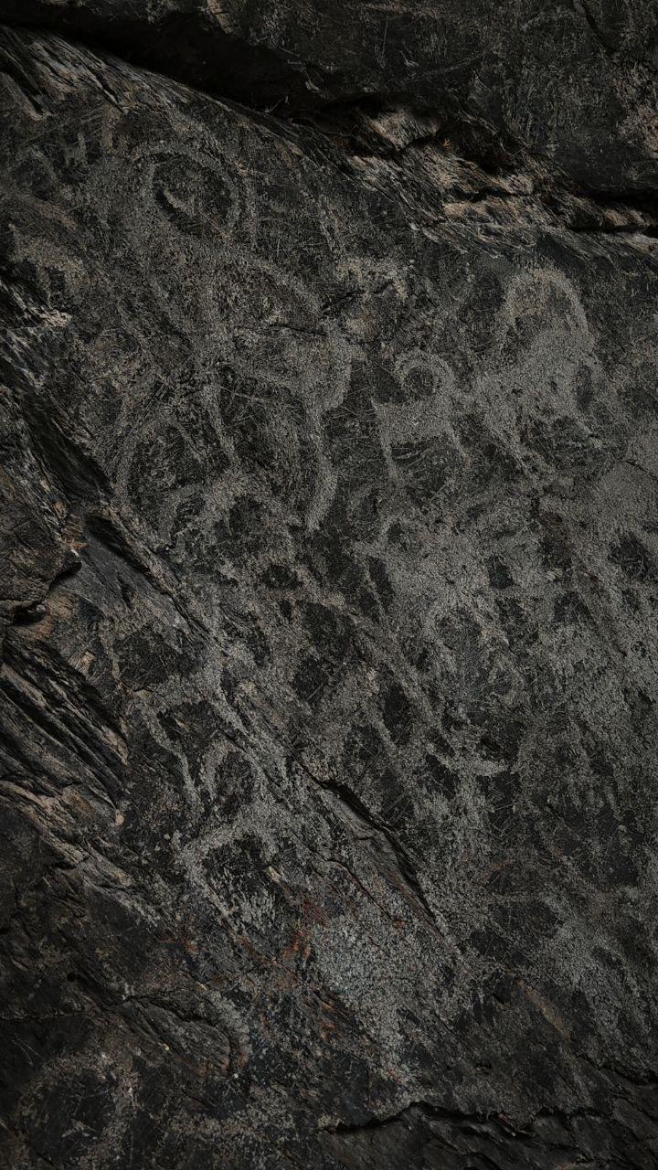 Приключения в Долине Белой горы (12/27)